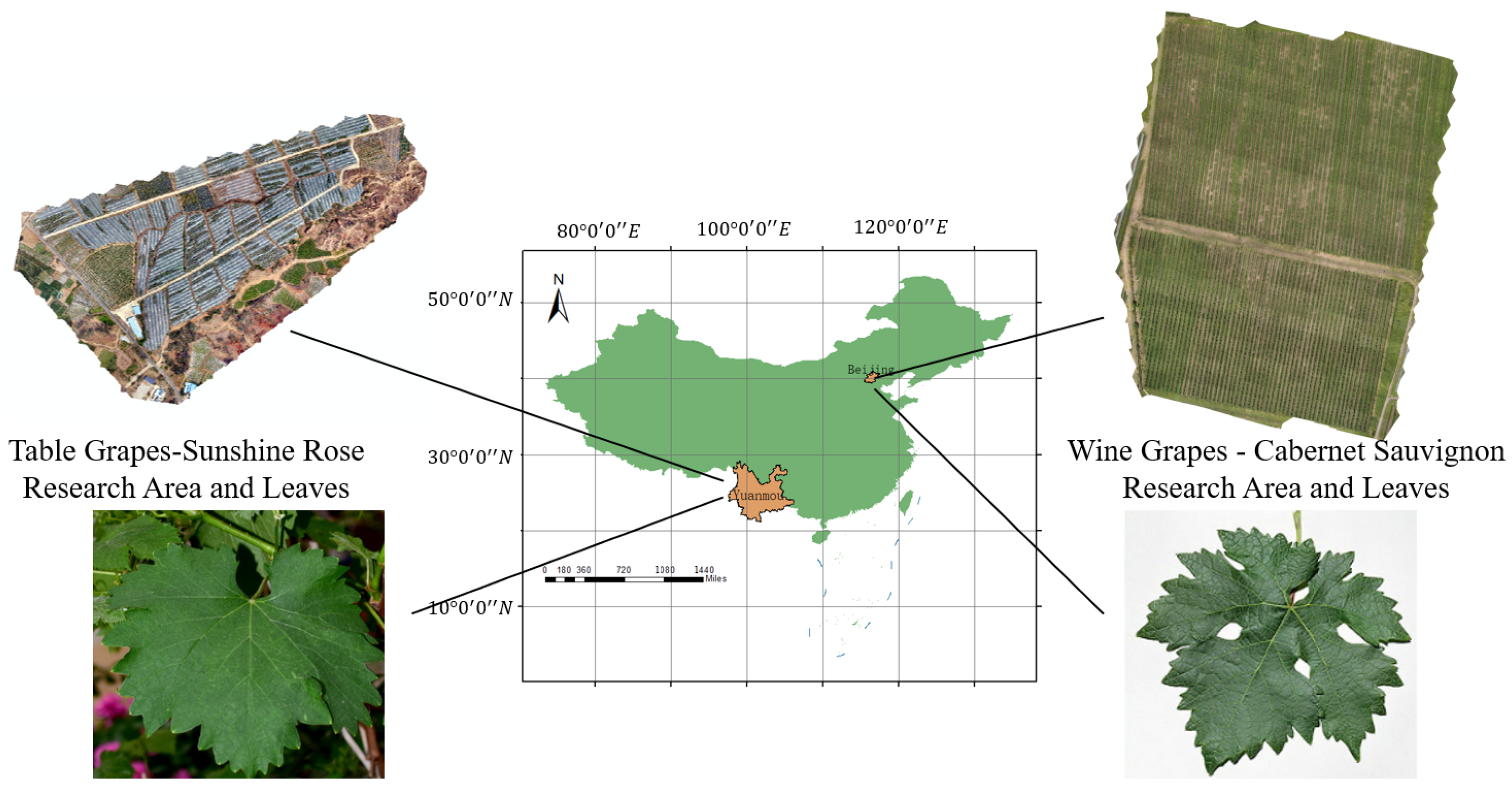 Remotesensing 16 02174 g001