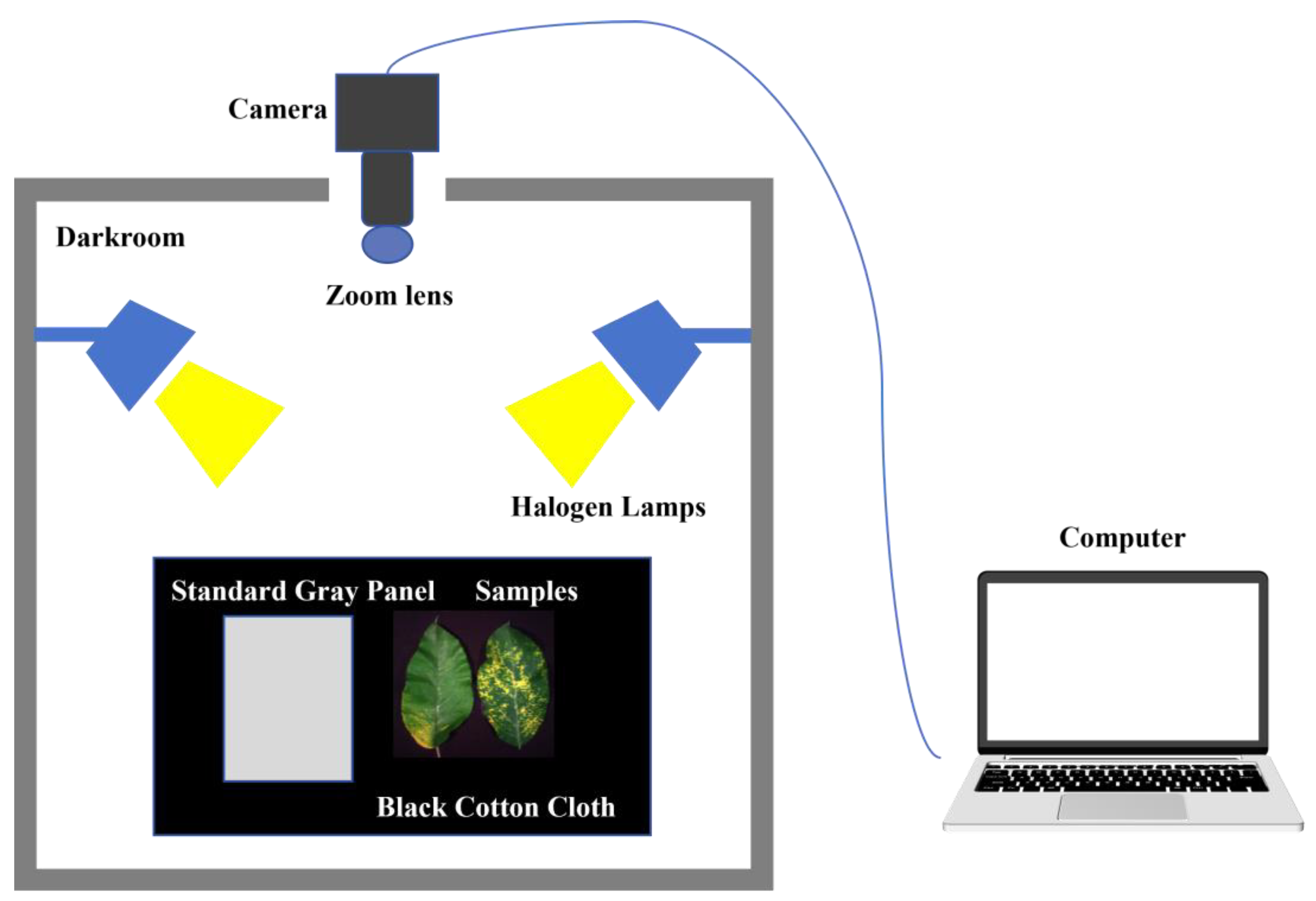 Remotesensing 16 02190 g002