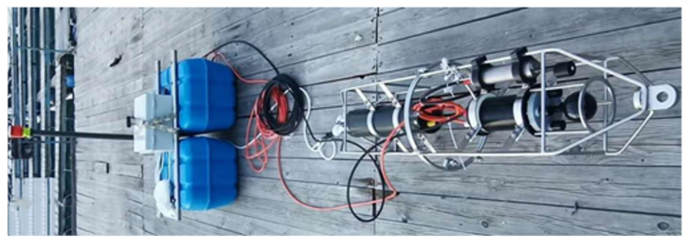 Remotesensing 16 02195 g009