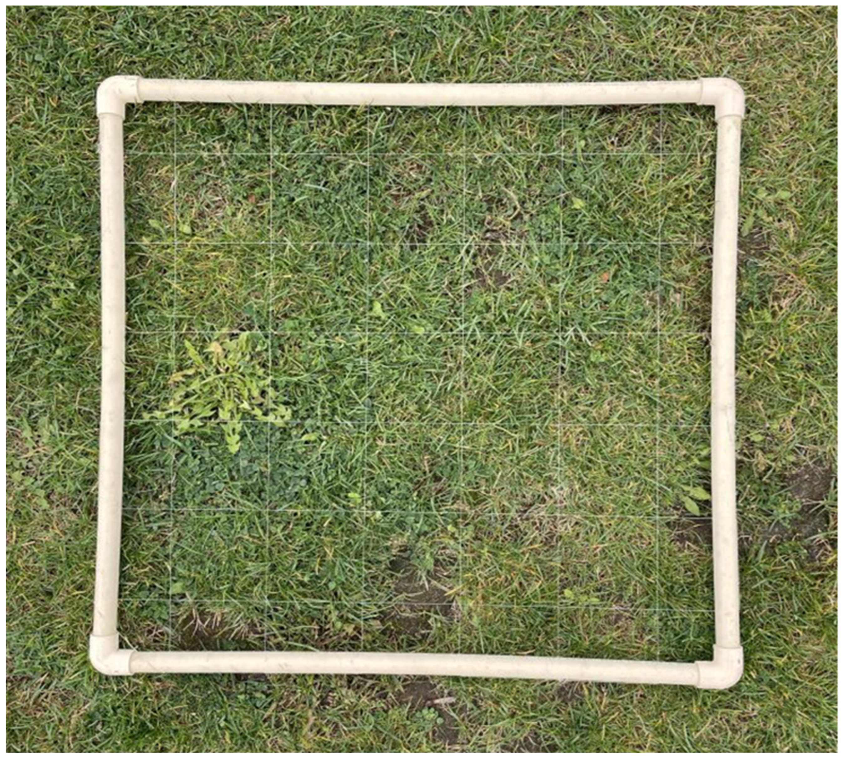 Remotesensing 16 02215 g003