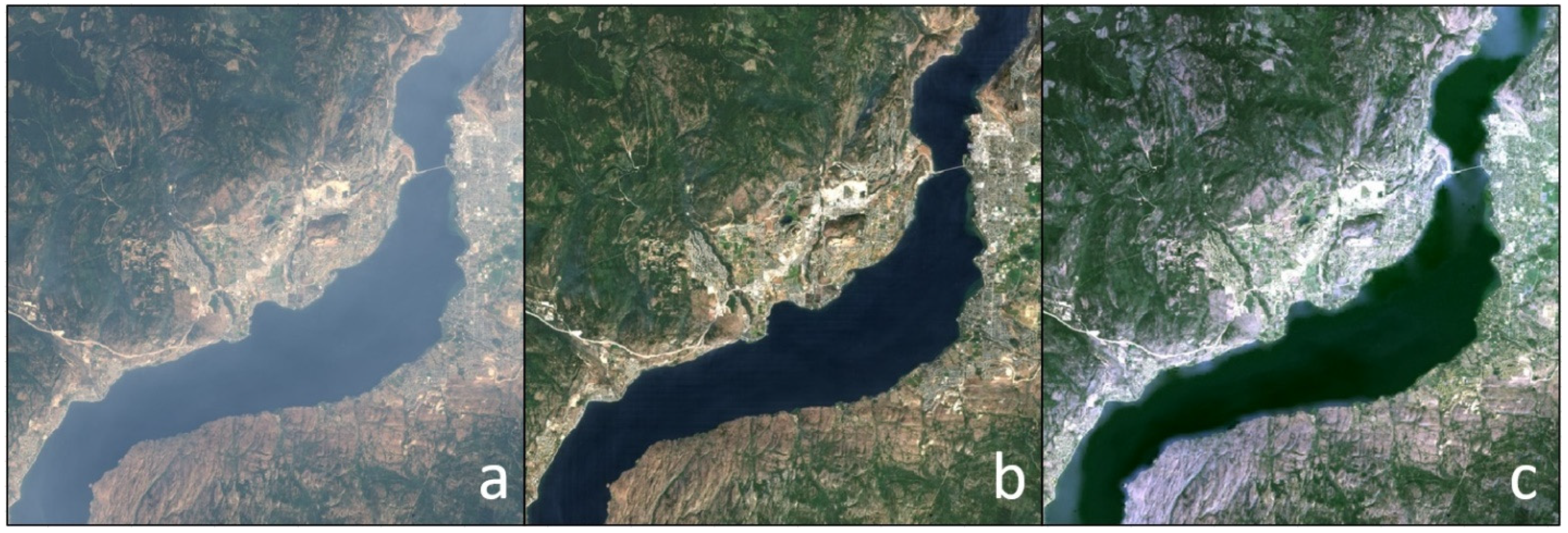 Remotesensing 16 02216 g001