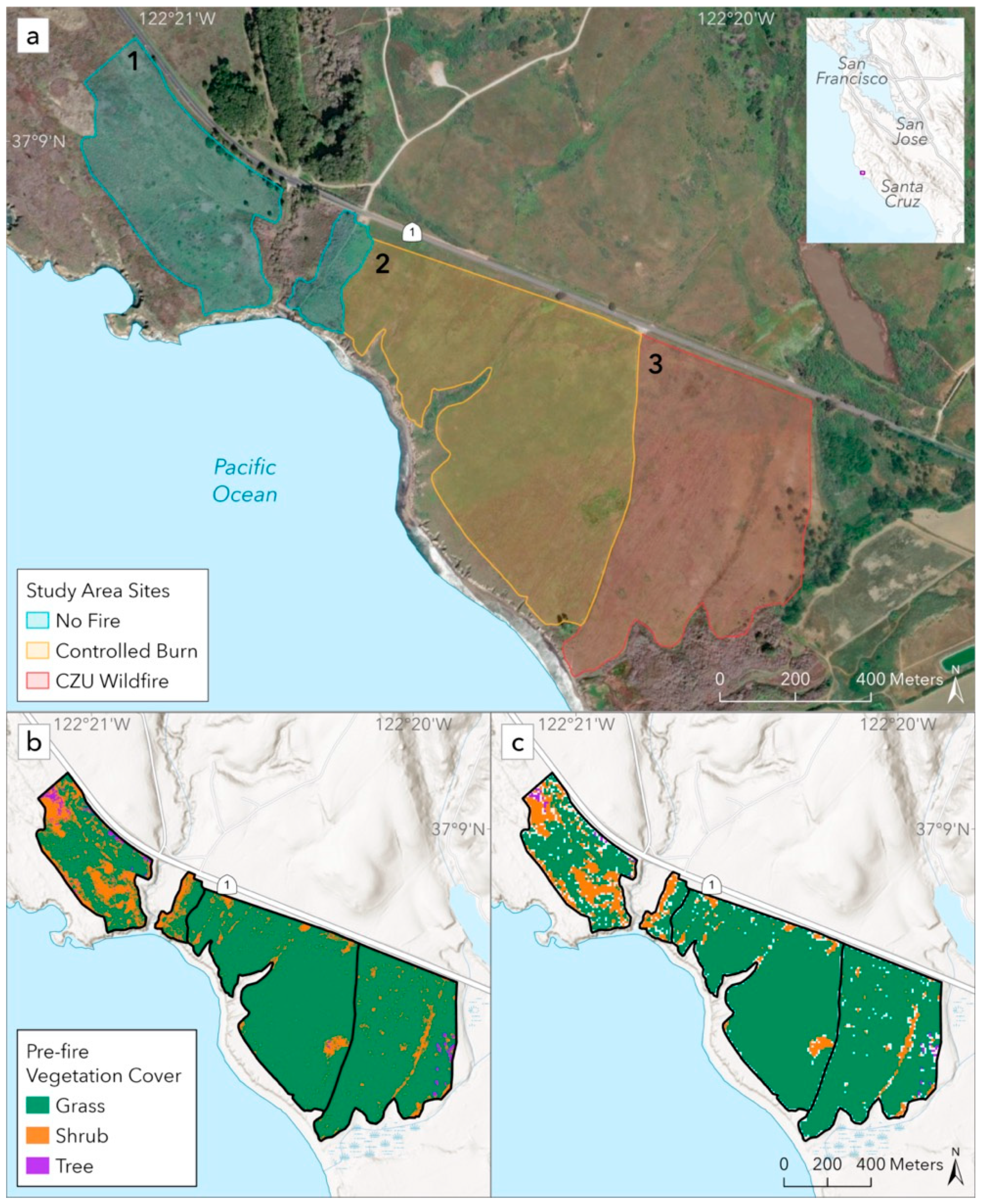 Remotesensing 16 02232 g001