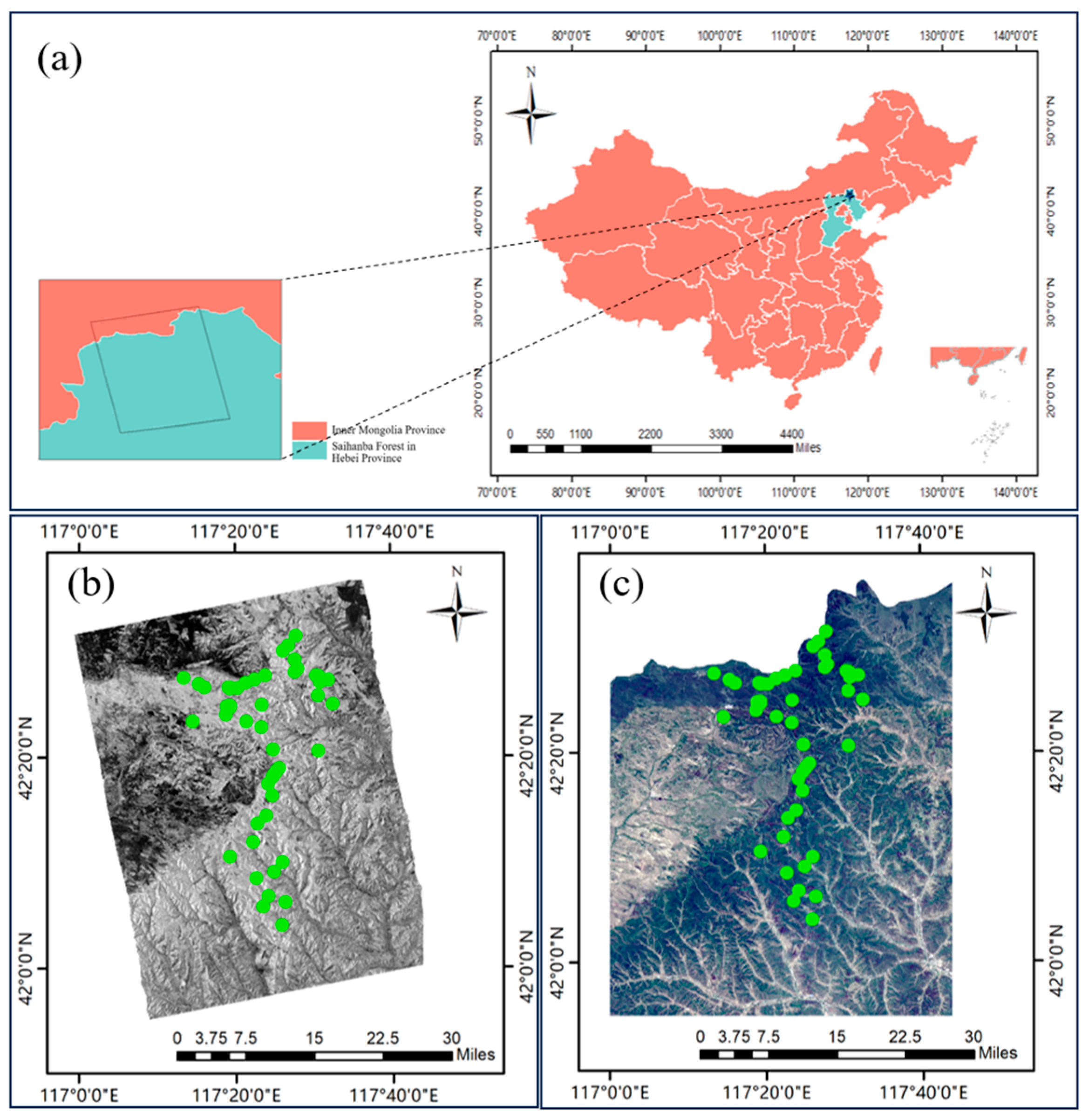 Remotesensing 16 02250 g001