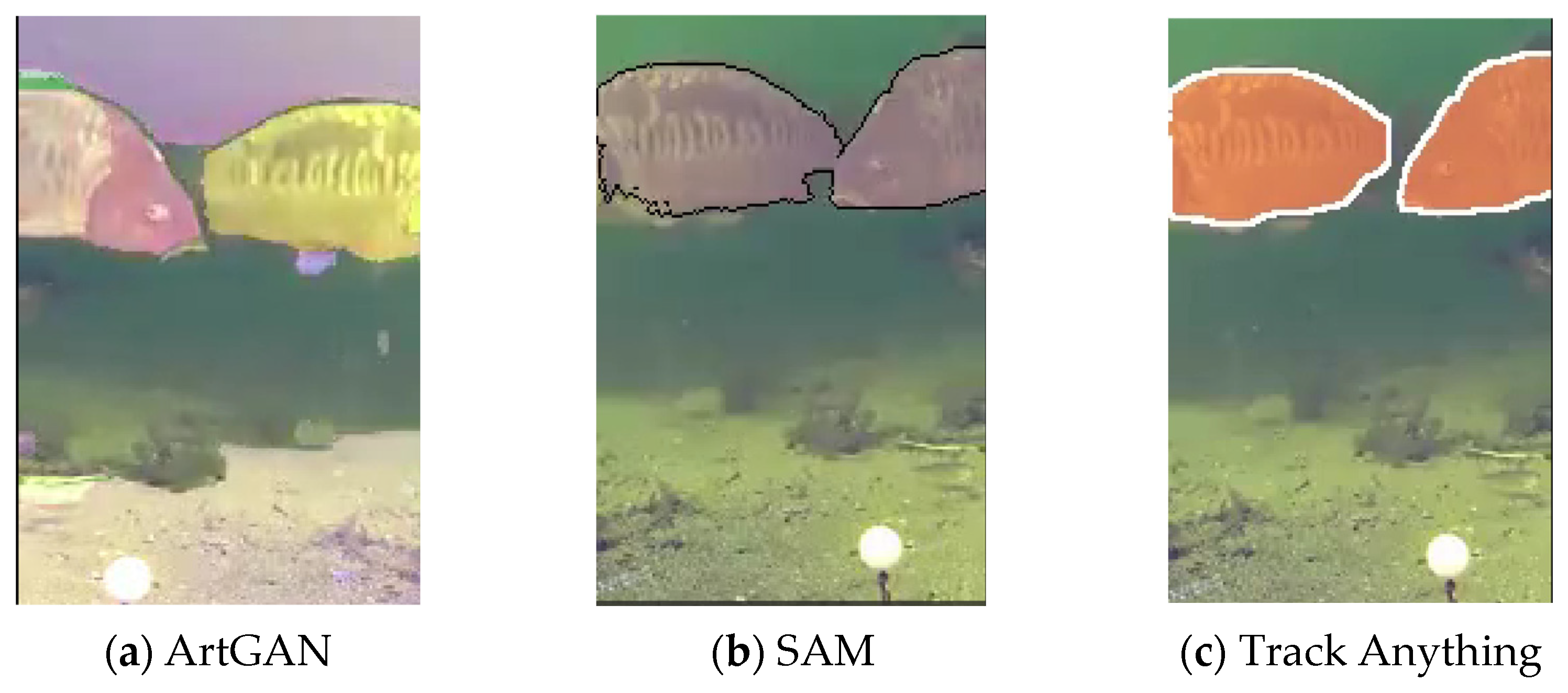 Remotesensing 16 02254 g006