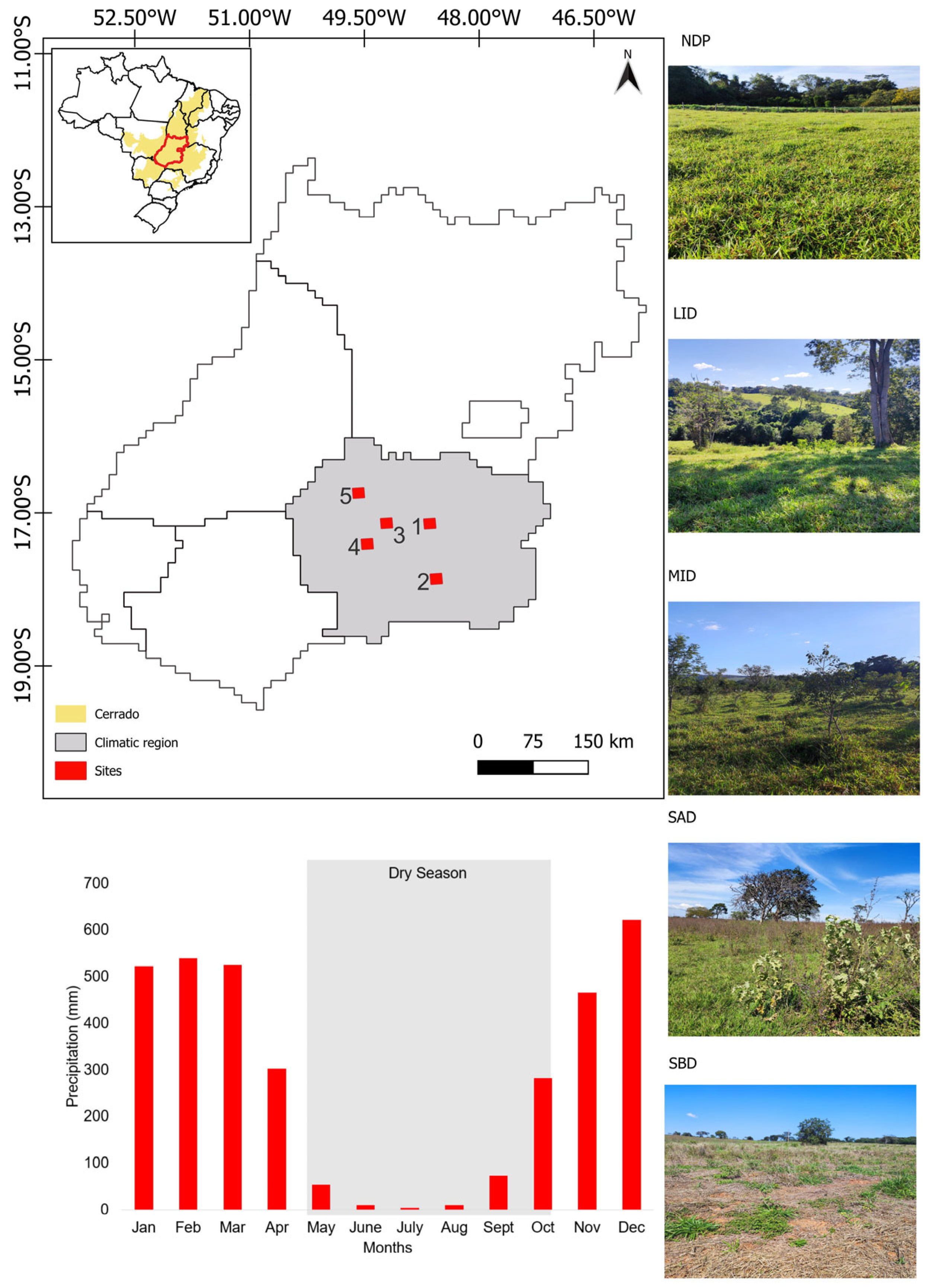 Remotesensing 16 02256 g002