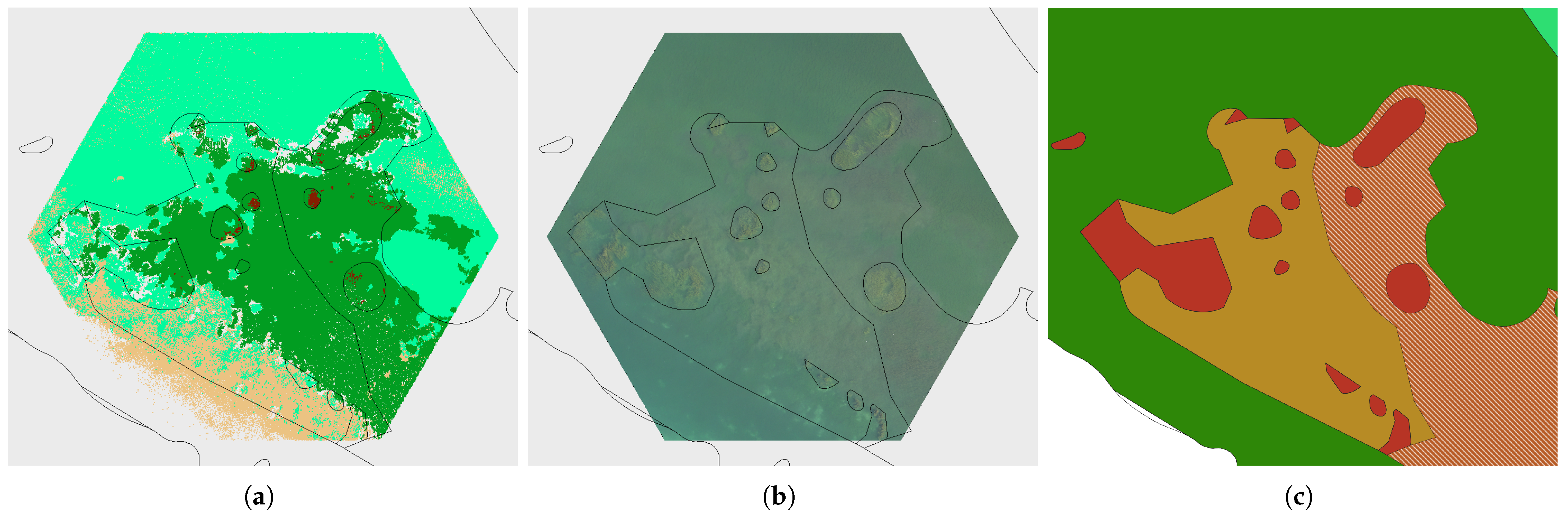 Remotesensing 16 02257 g011 Remotesensing 16 02257 g011