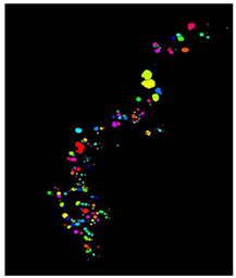 Remotesensing 16 02264 i004