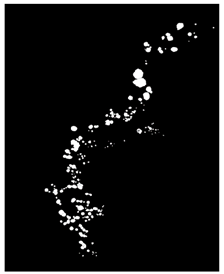 Remotesensing 16 02264 i009