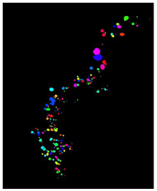 Remotesensing 16 02264 i010