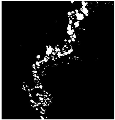 Remotesensing 16 02264 i015