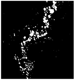 Remotesensing 16 02264 i019