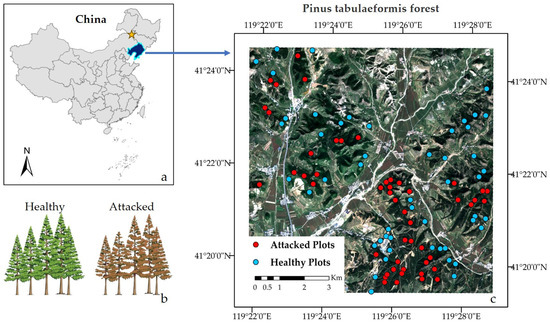 EWMACD Algorithm in Early Detection of Defoliation Caused by