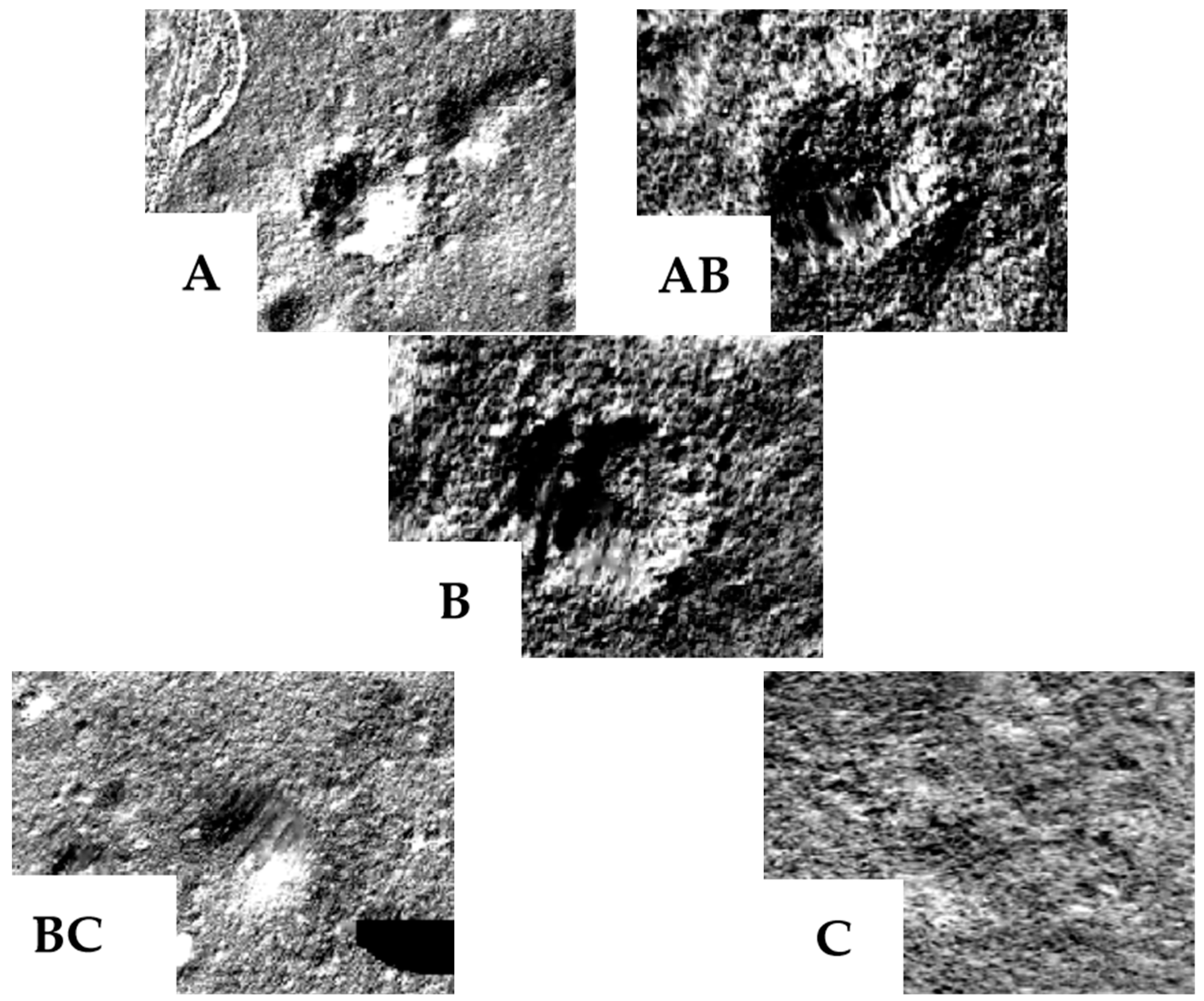 Remotesensing 16 02356 g004