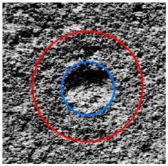 Remotesensing 16 02356 i006