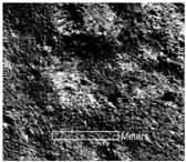 Remotesensing 16 02359 i009