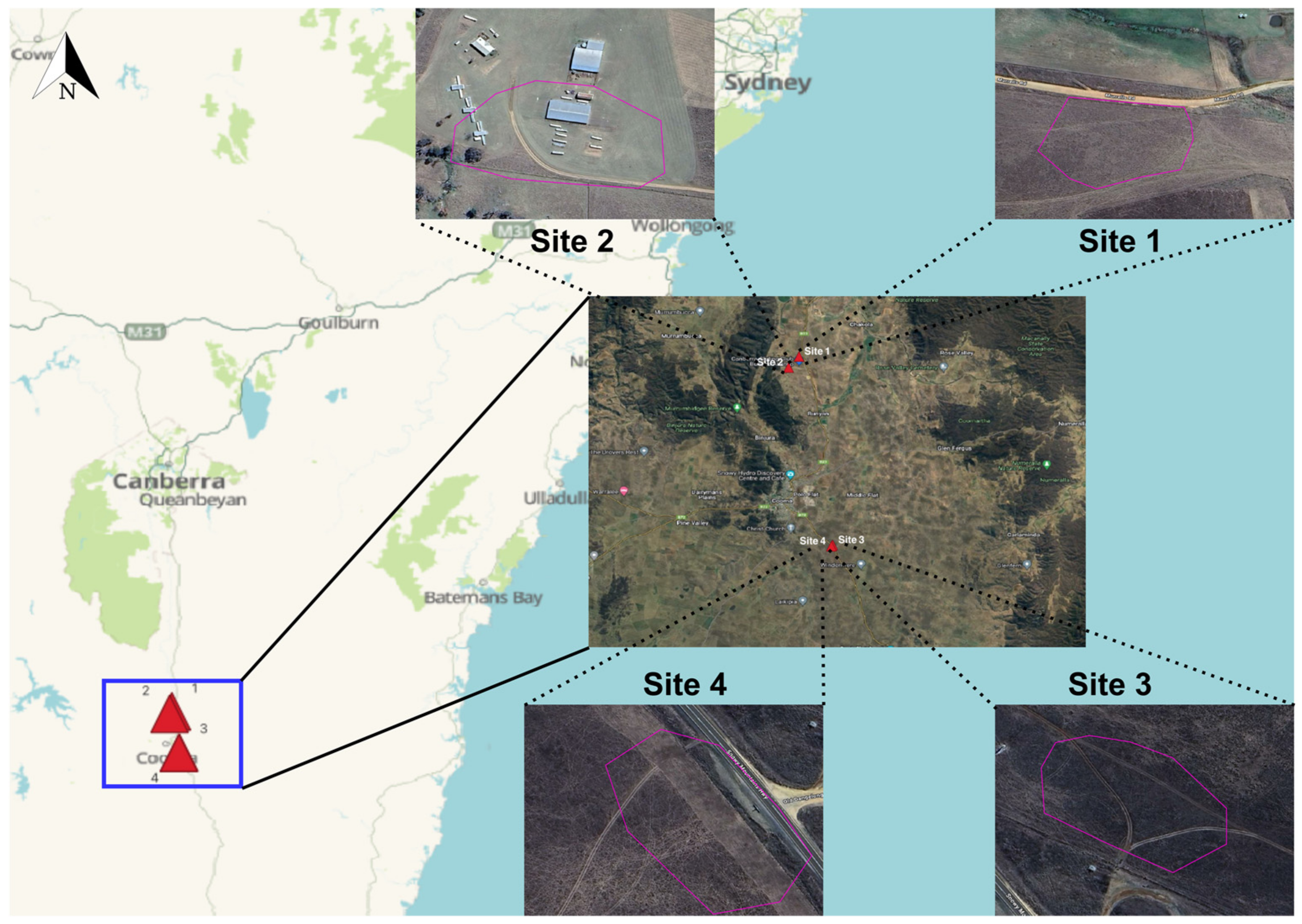 Remotesensing 16 02363 g002