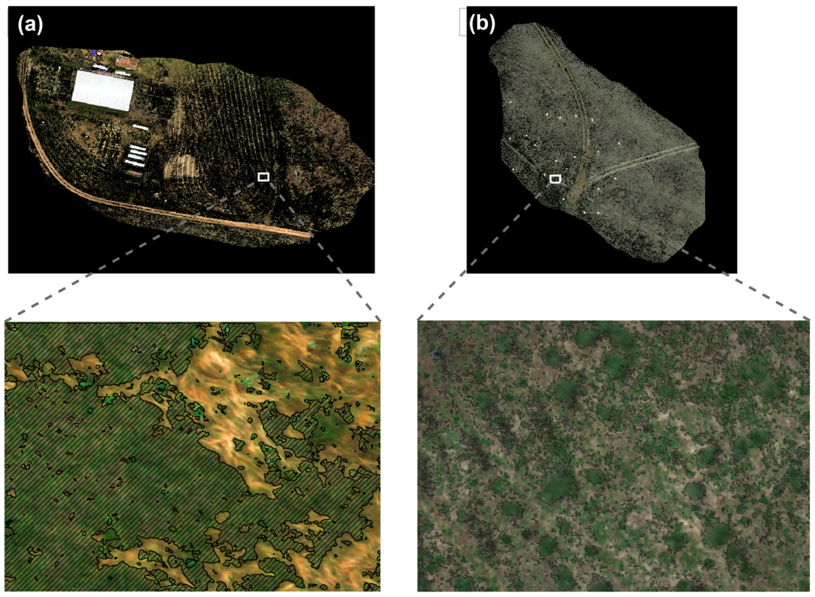 Remotesensing 16 02363 g012