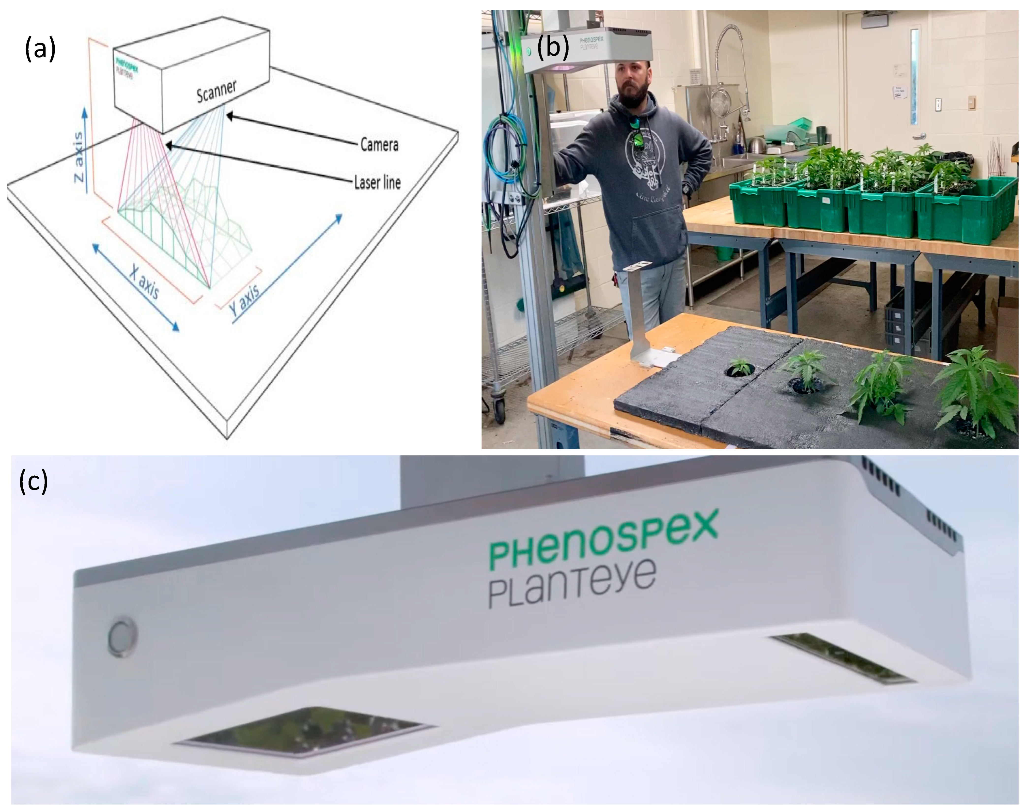 Remotesensing 16 02375 g001