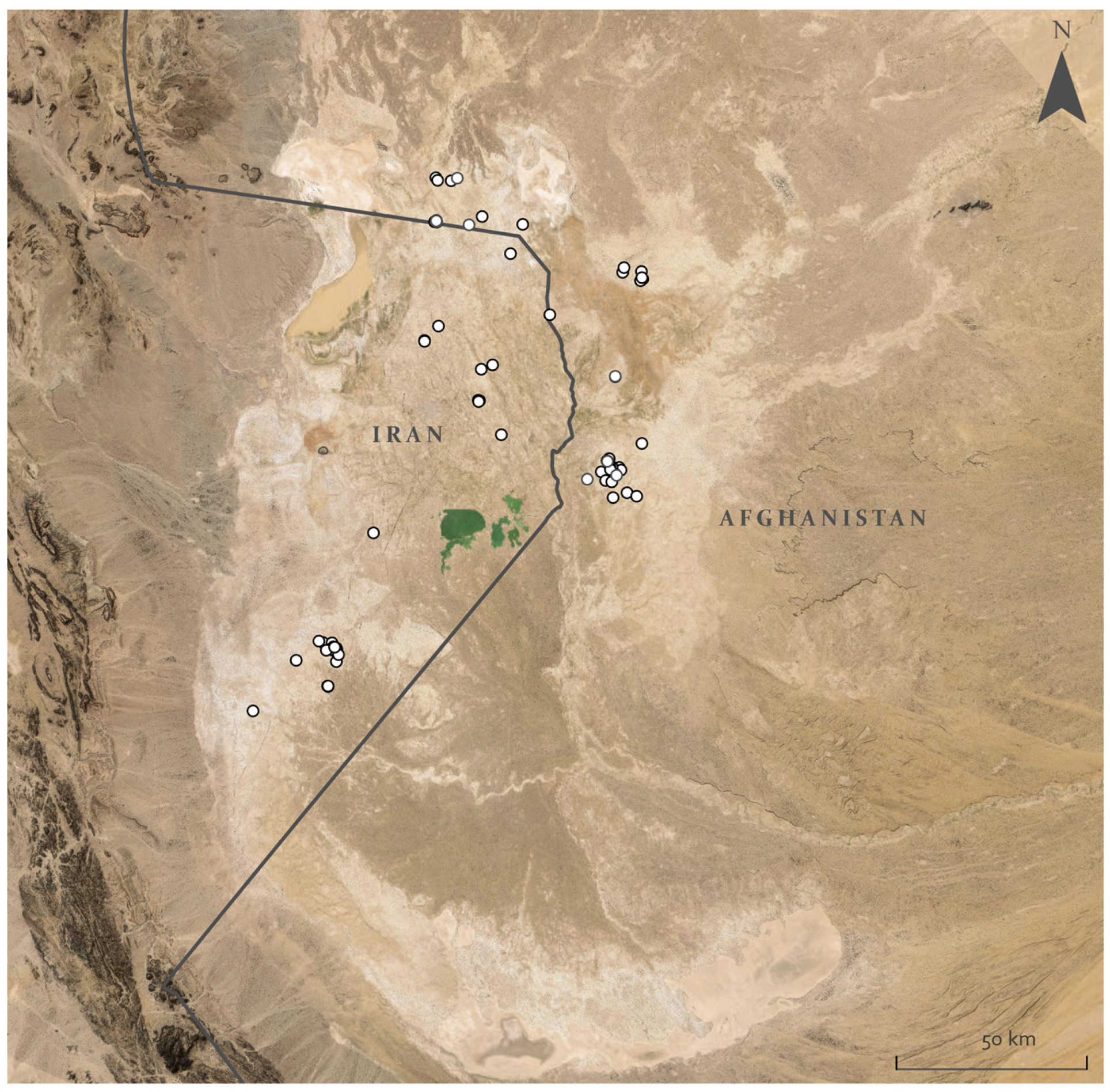 Remotesensing 16 02382 g008