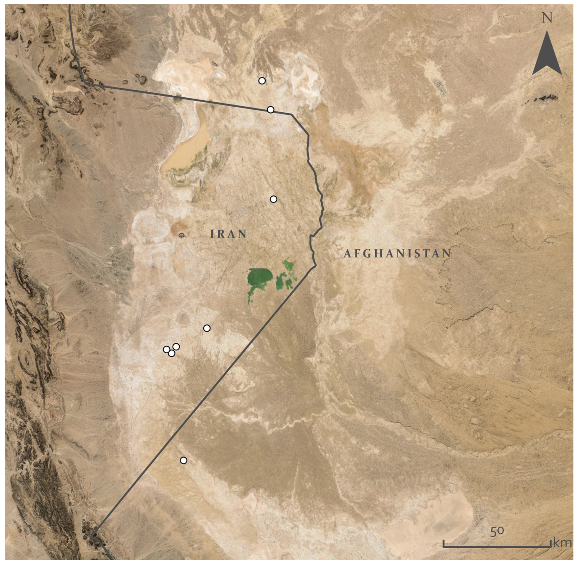 Remotesensing 16 02382 g009