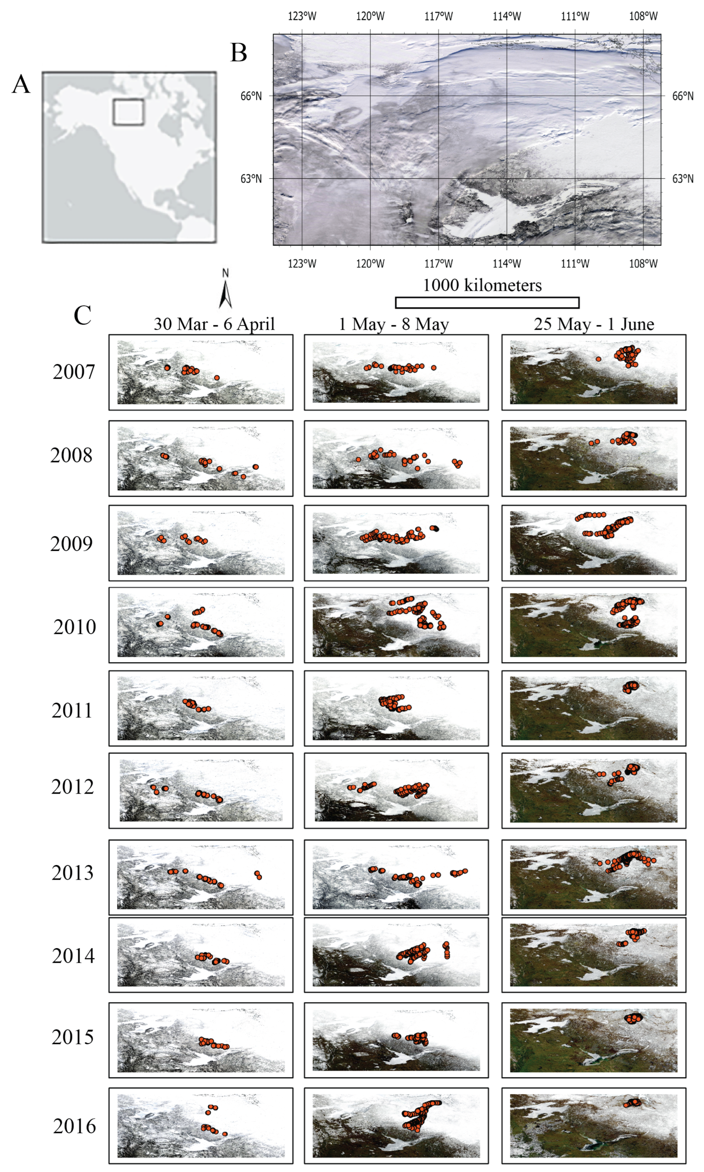 Remotesensing 16 02391 g005