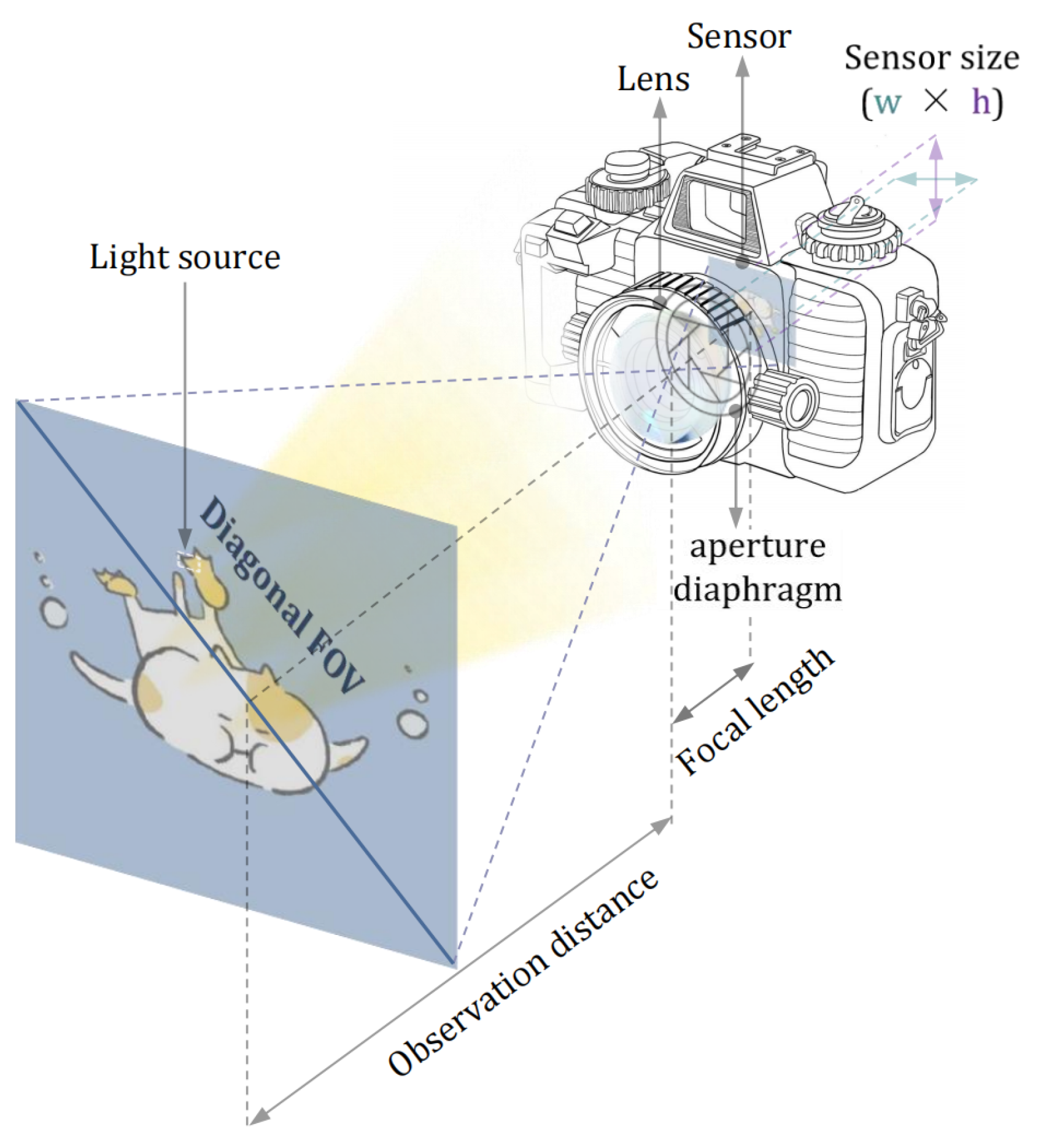 Remotesensing 16 02429 g002