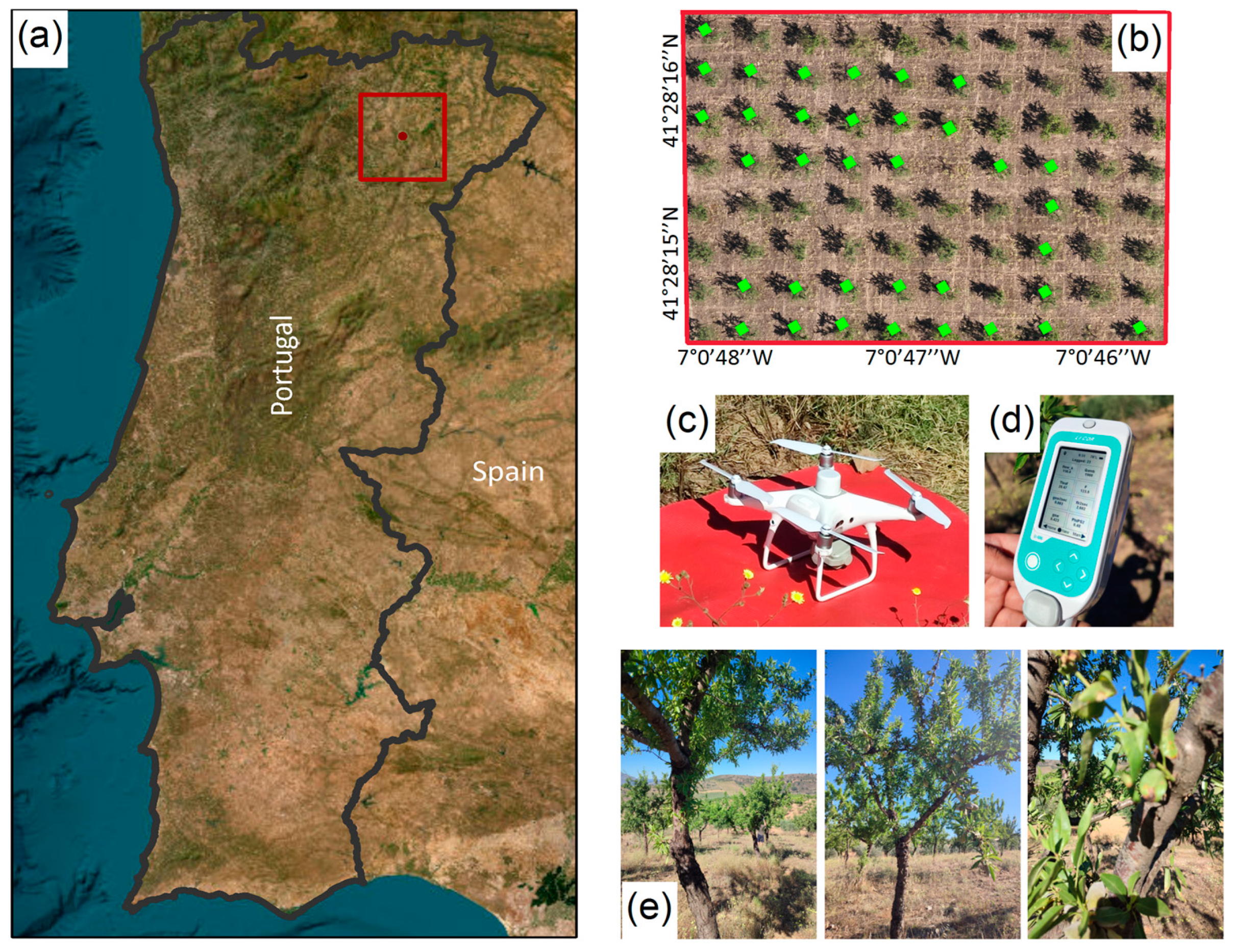 Remotesensing 16 02467 g001 Remotesensing 16 02467 g001