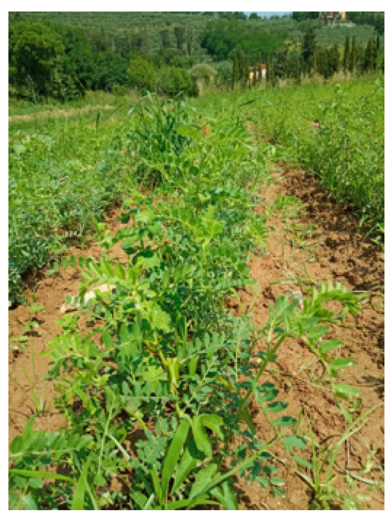 Remotesensing 16 02524 g002