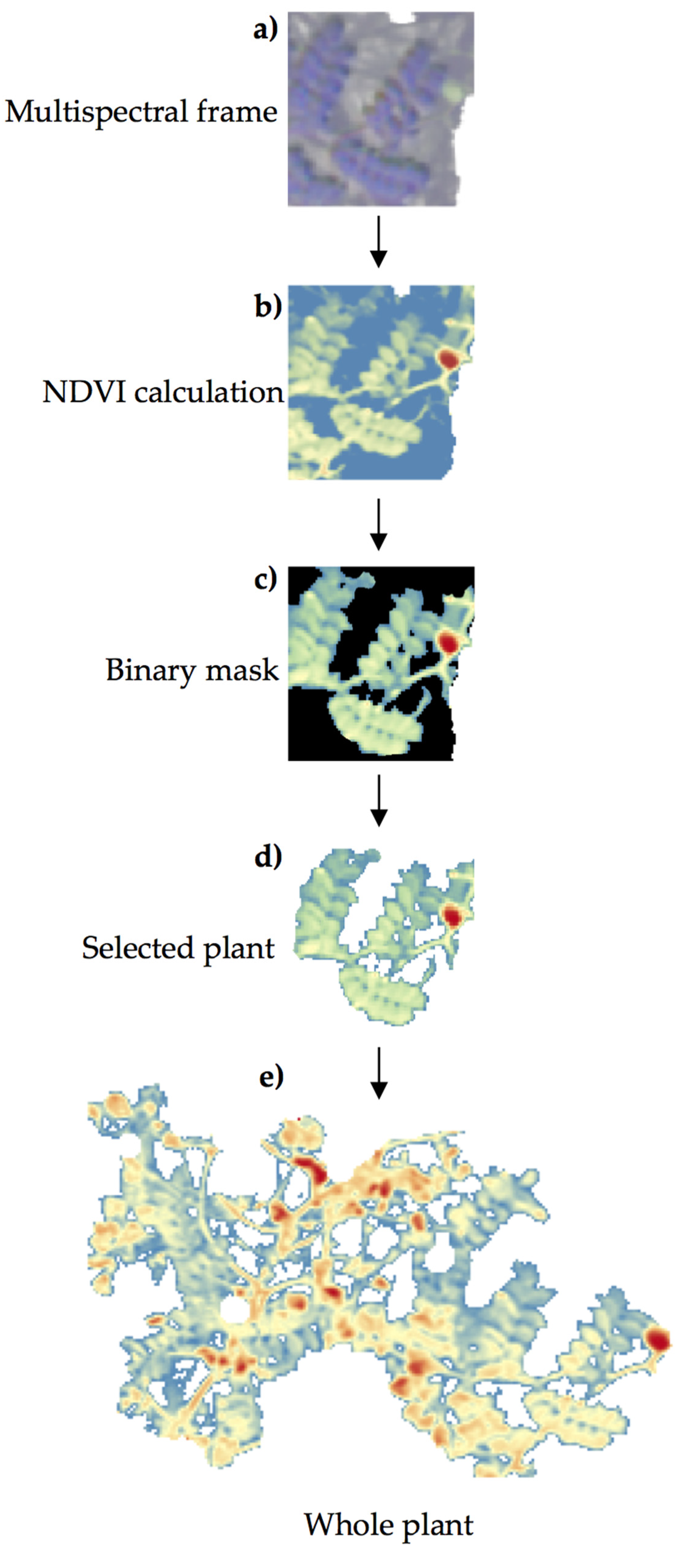 Remotesensing 16 02524 g005