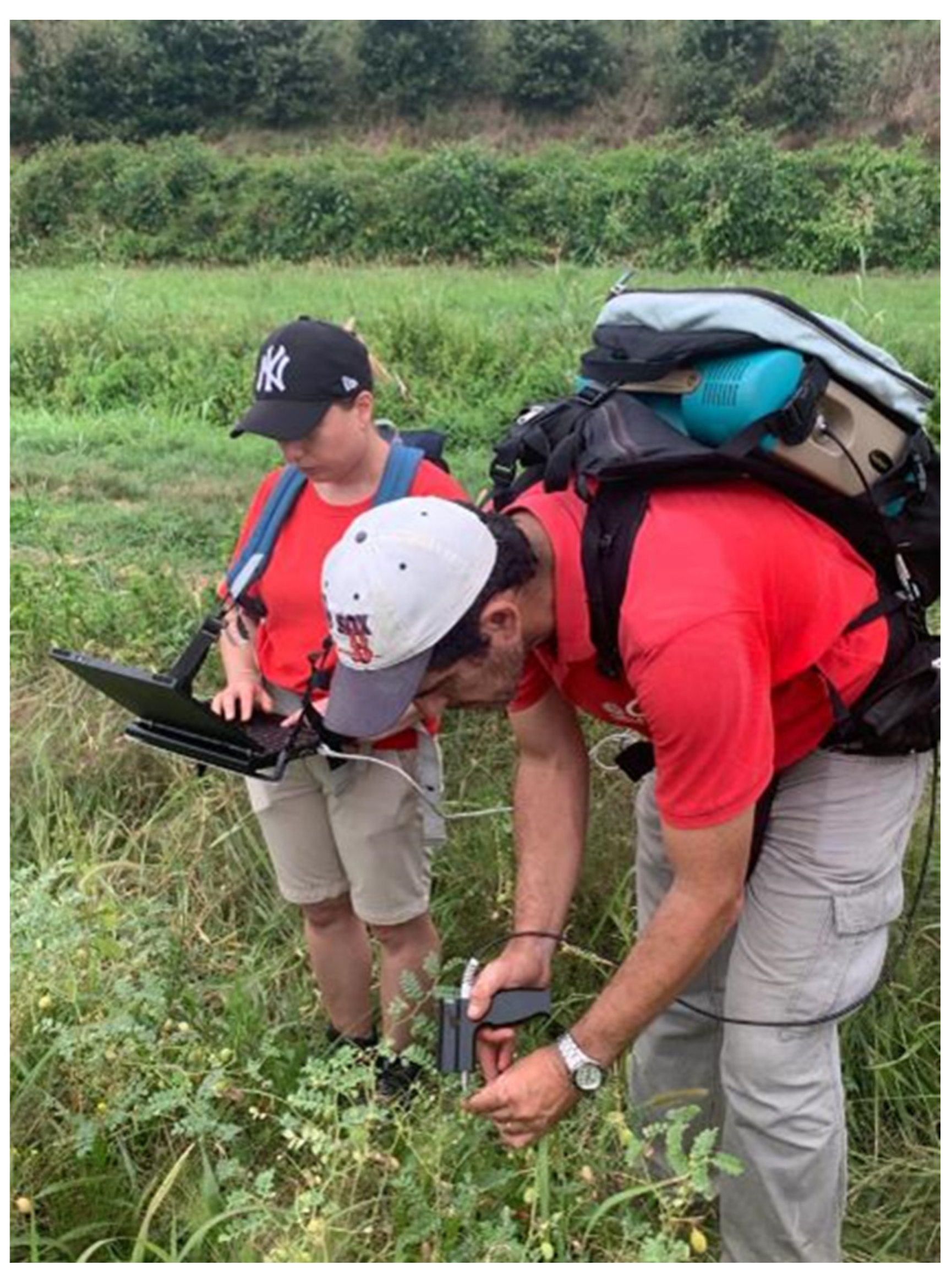 Remotesensing 16 02524 g007