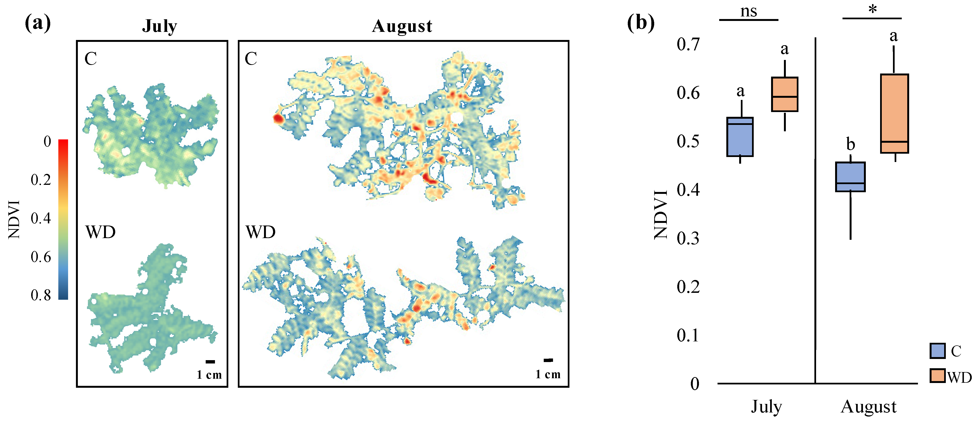 Remotesensing 16 02524 g009
