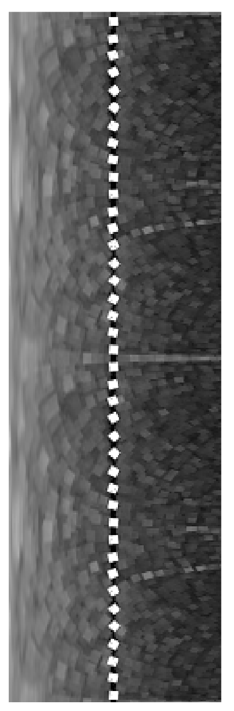 Remotesensing 16 02535 g006