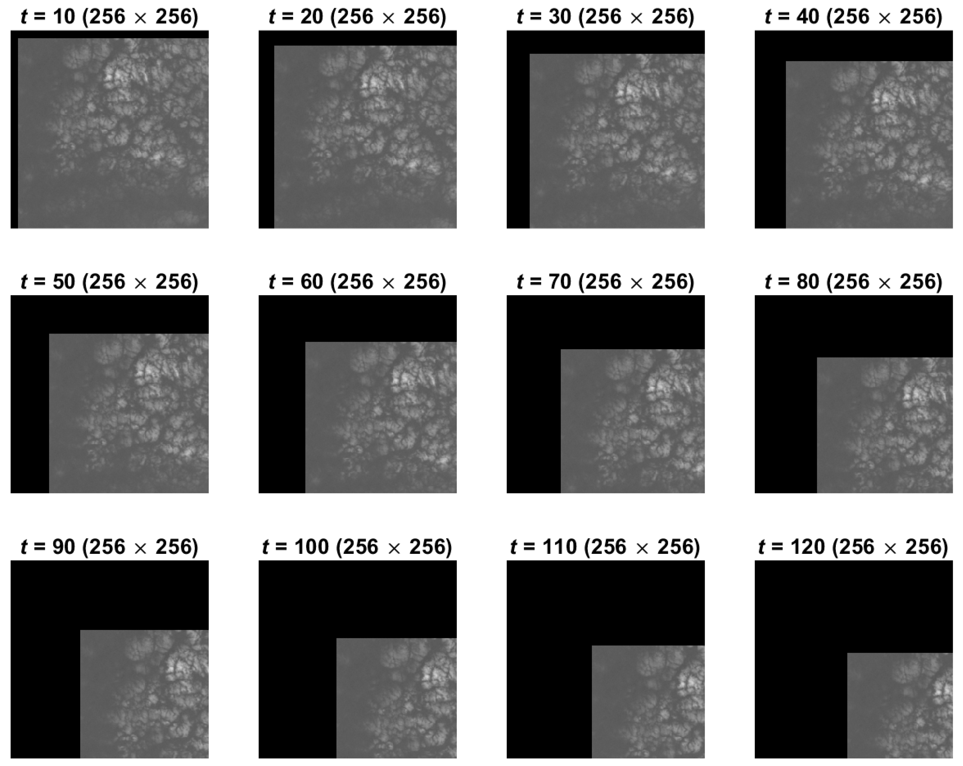 Remotesensing 16 02535 g011