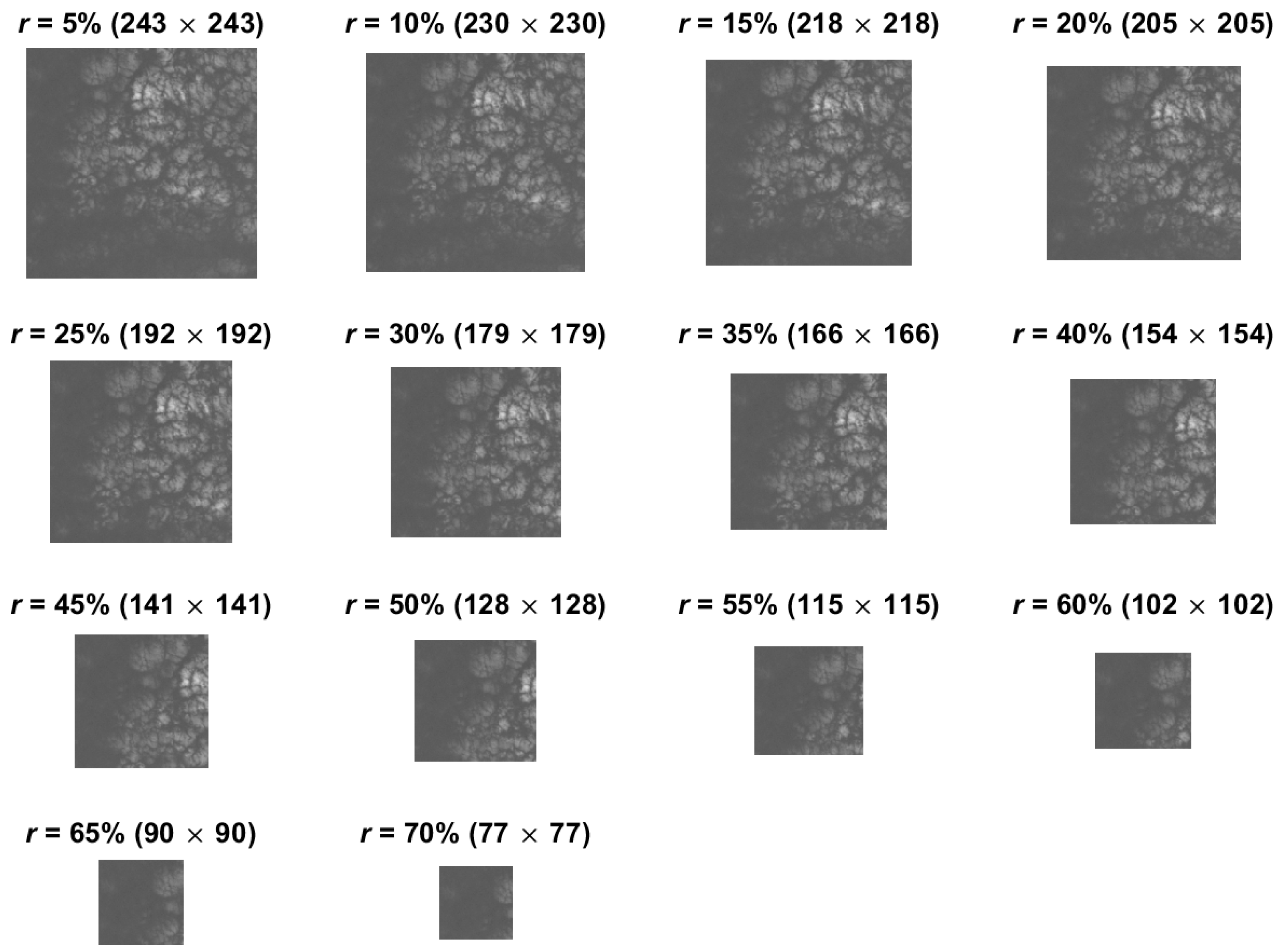 Remotesensing 16 02535 g012