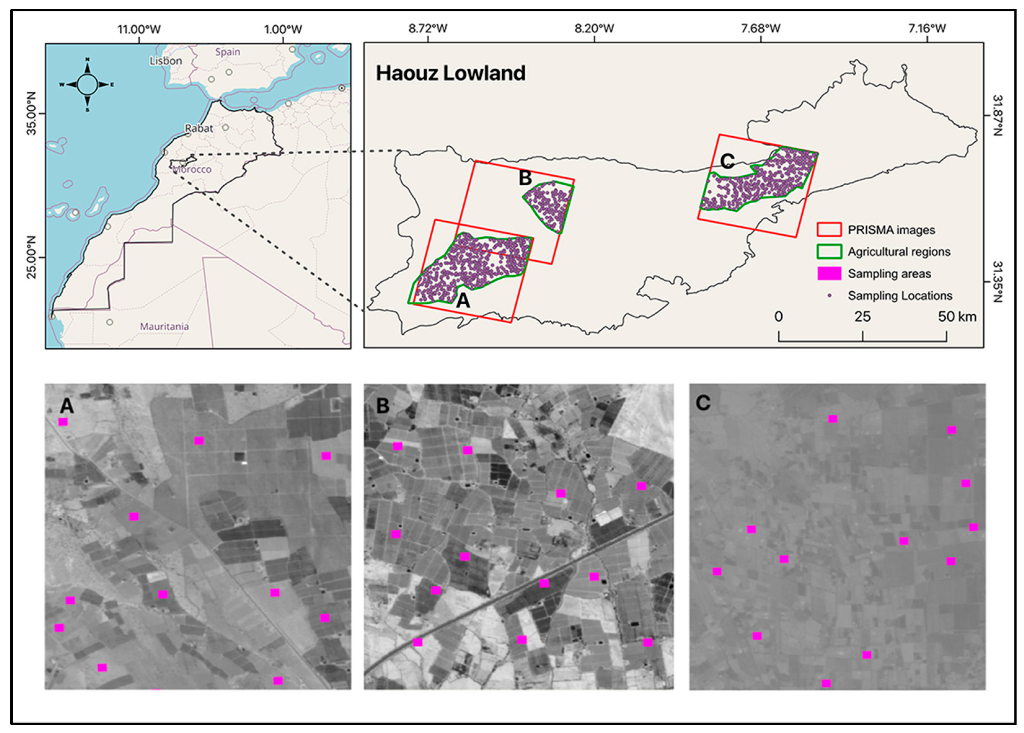Remotesensing 16 02549 g001 Remotesensing 16 02549 g001