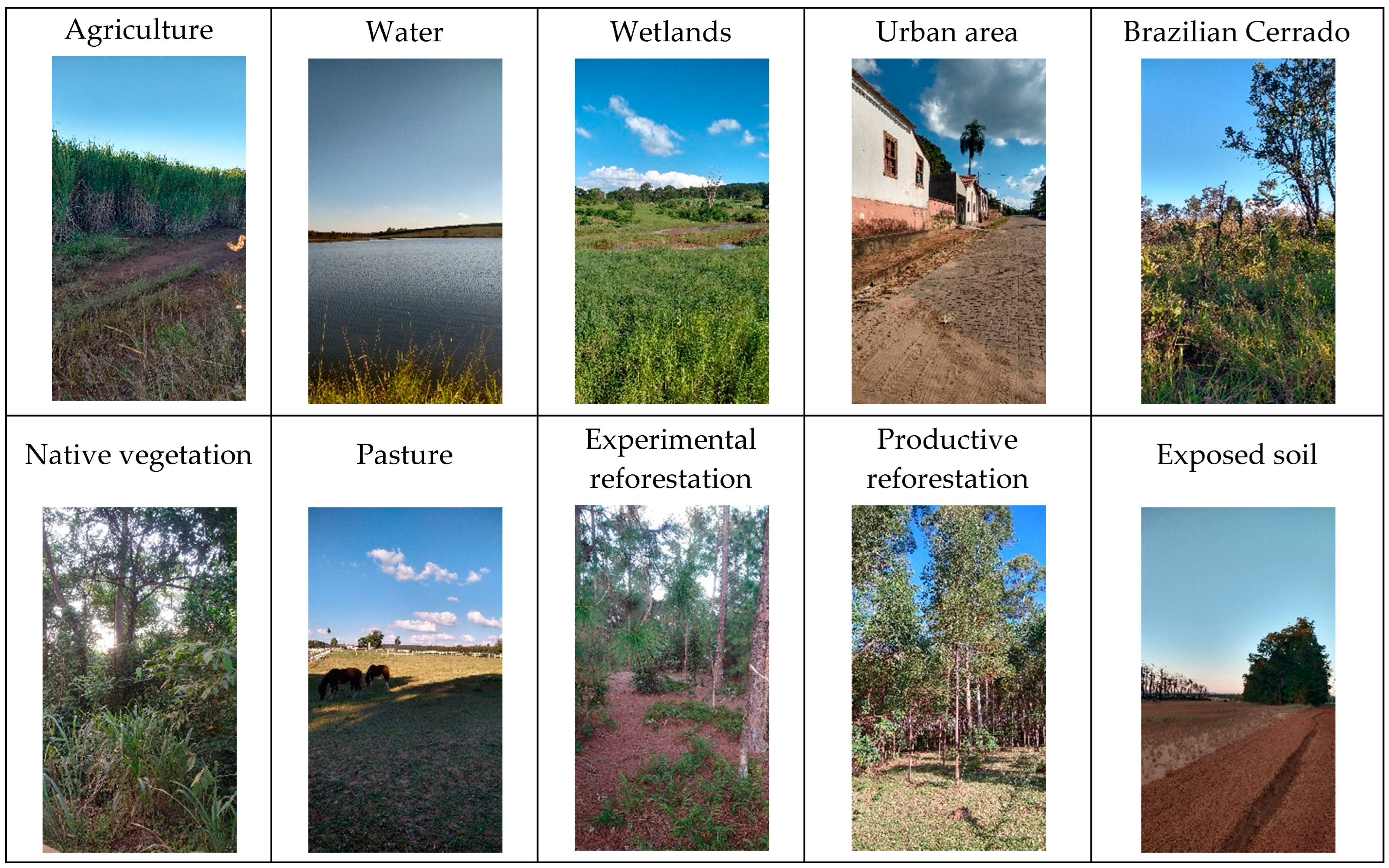 Remotesensing 16 02559 g007