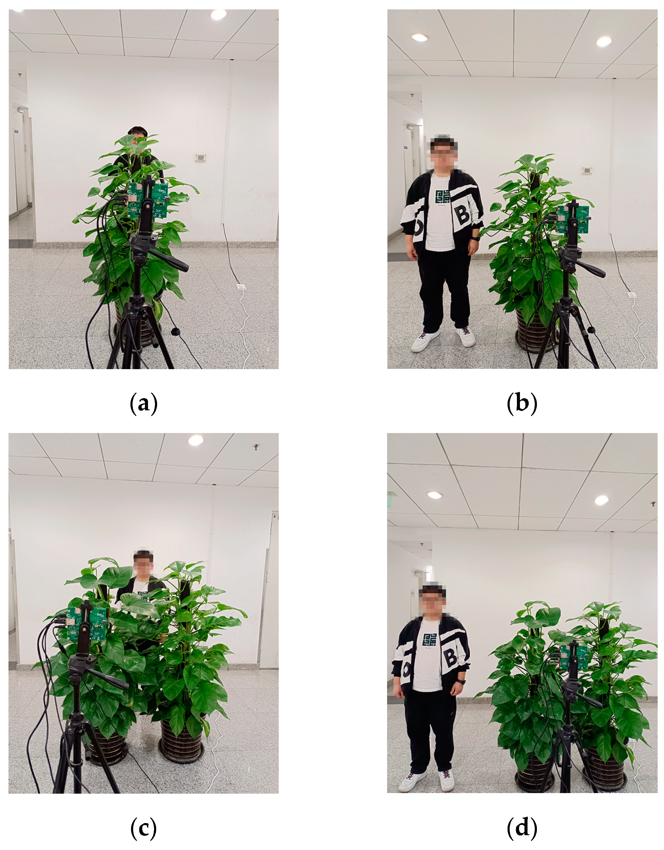 Remotesensing 16 02572 g013