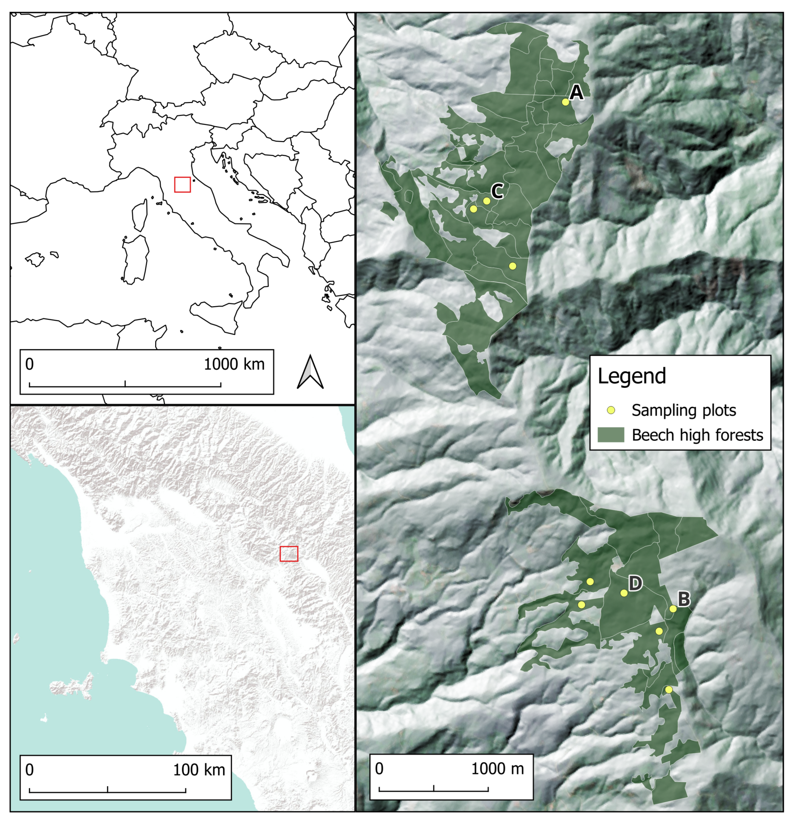 Remotesensing 16 02576 g001