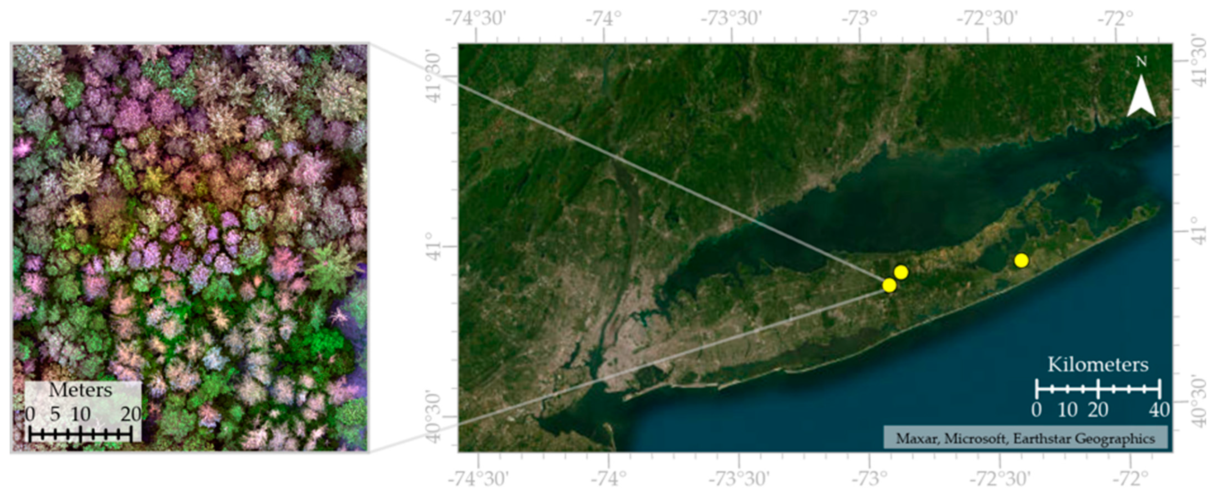 Remotesensing 16 02608 g001