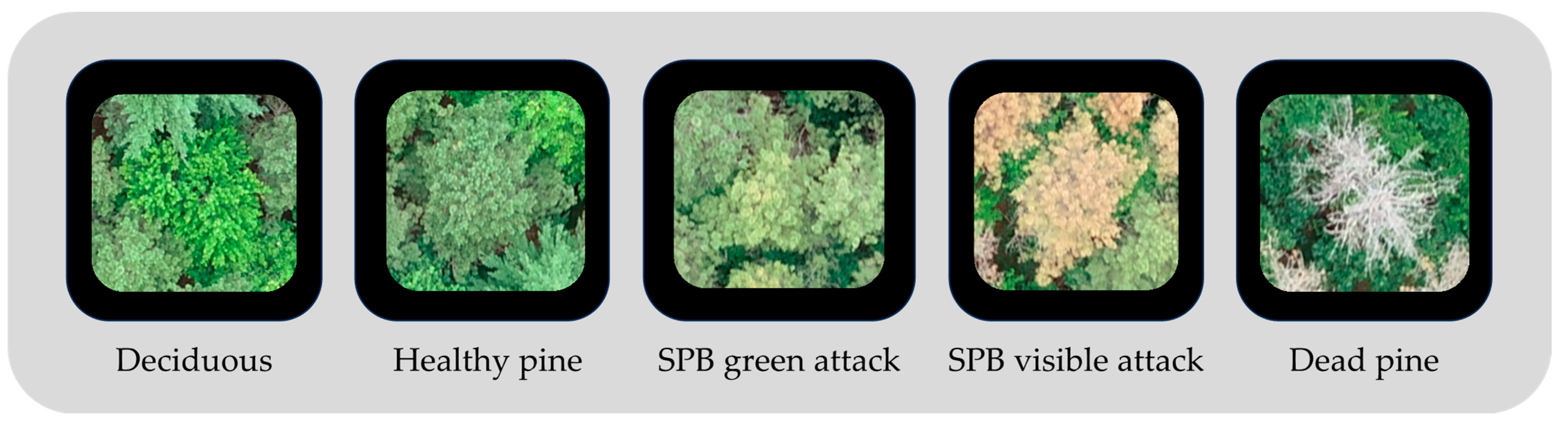 Remotesensing 16 02608 g004