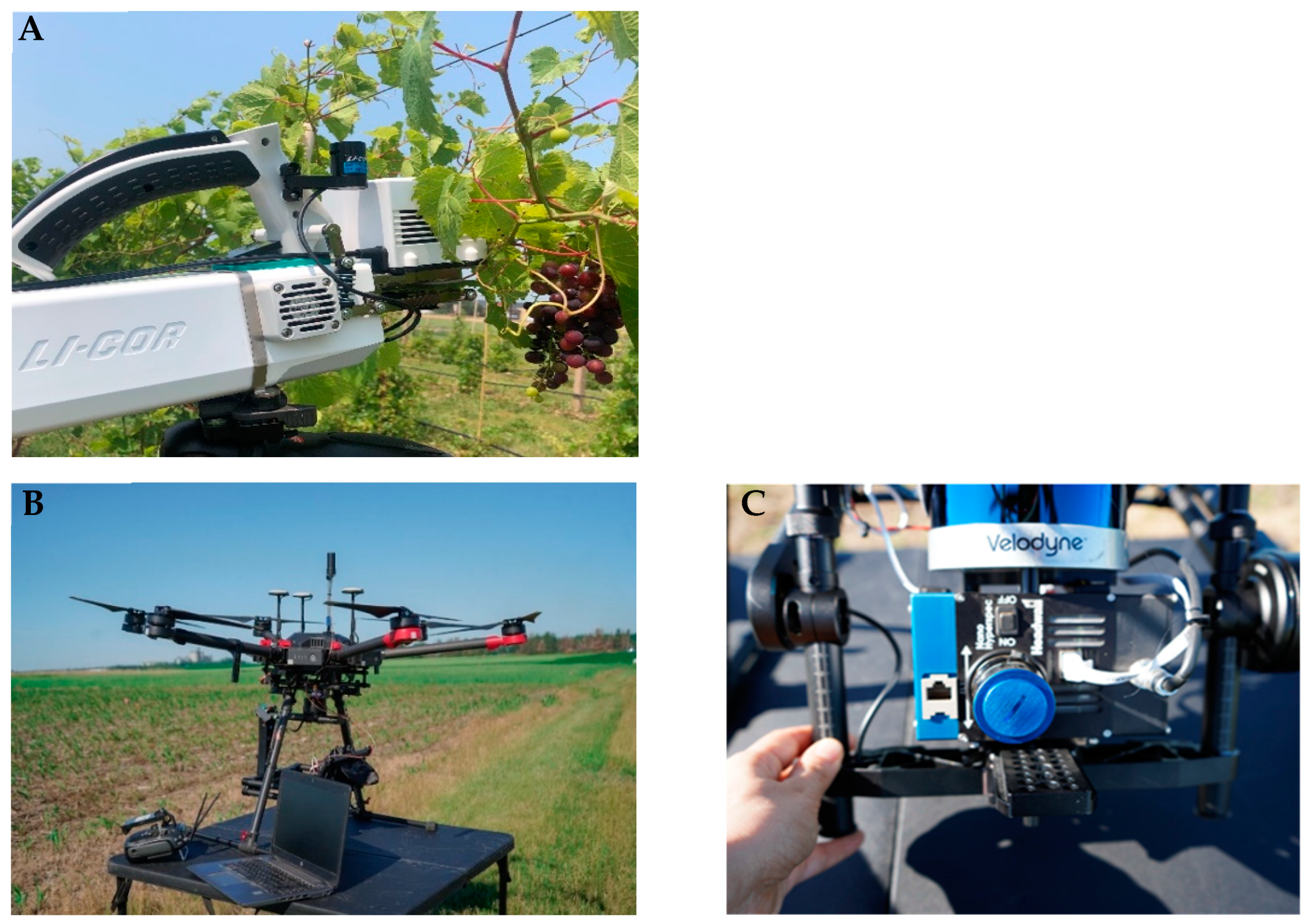 Remotesensing 16 02626 g001