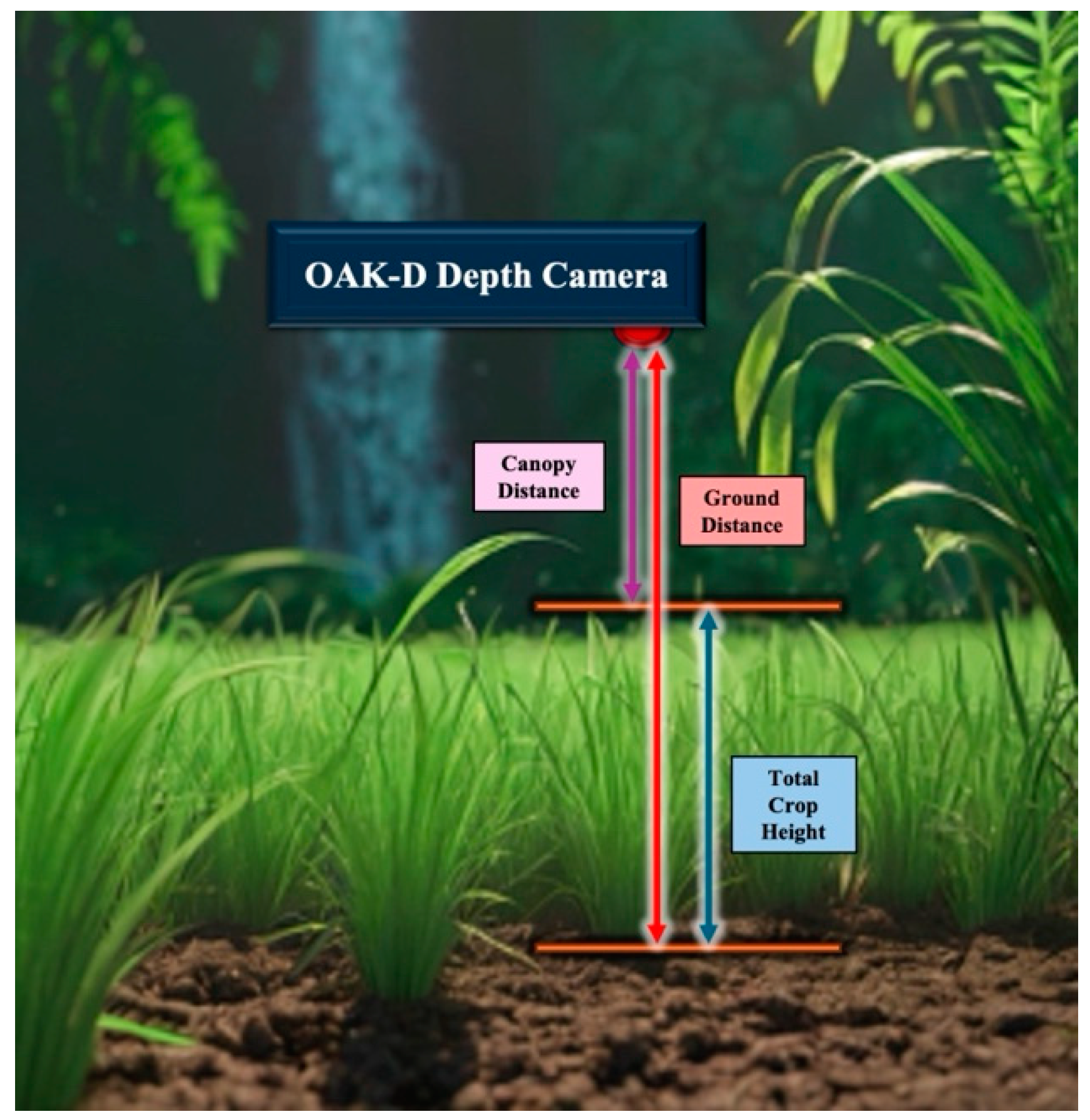 Remotesensing 16 02646 g006