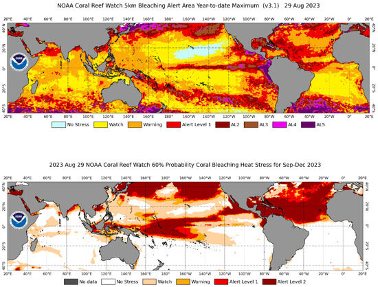 Satellite Oceanography in NOAA: Research, Development 