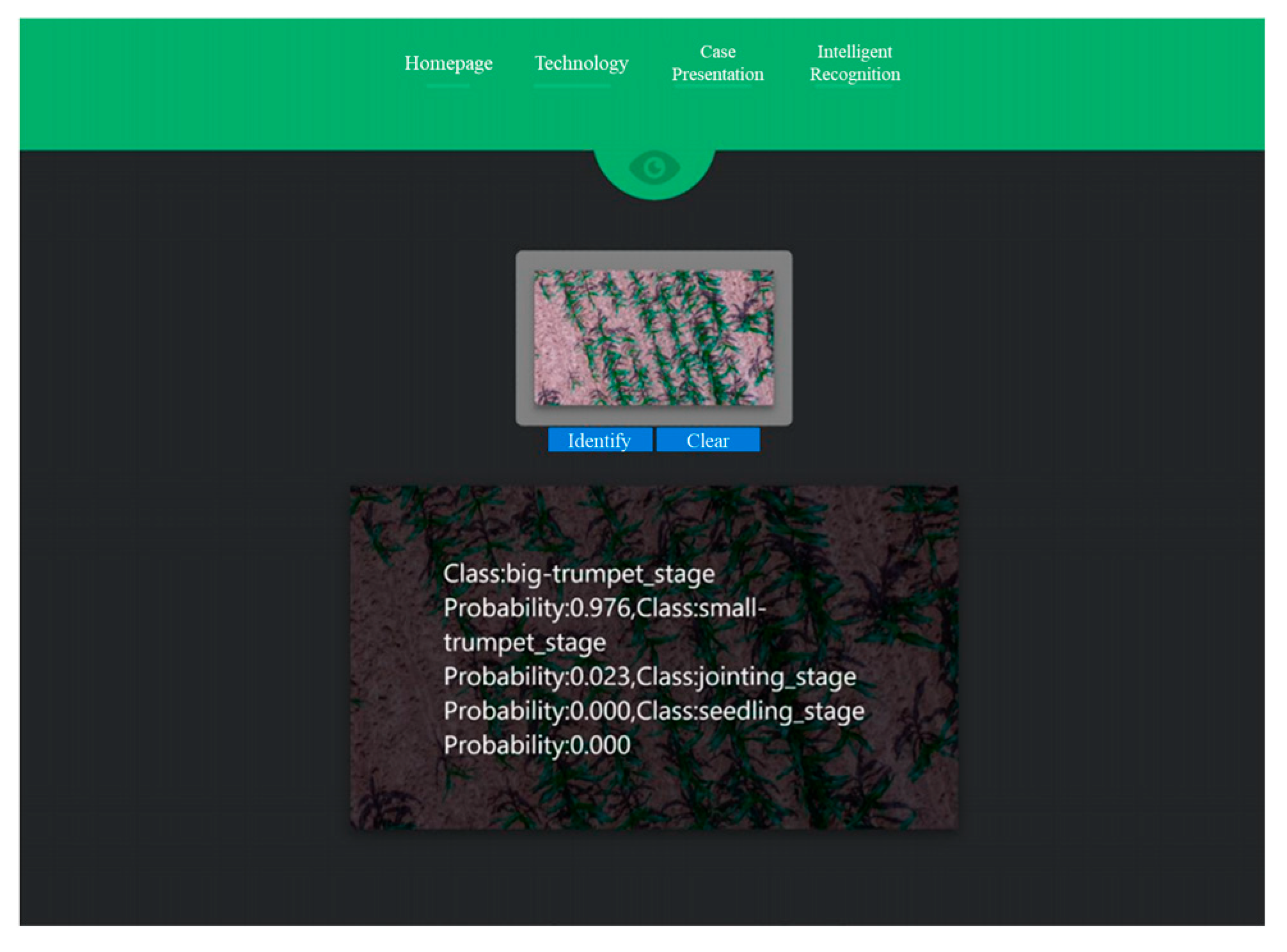 Remotesensing 16 02672 g017