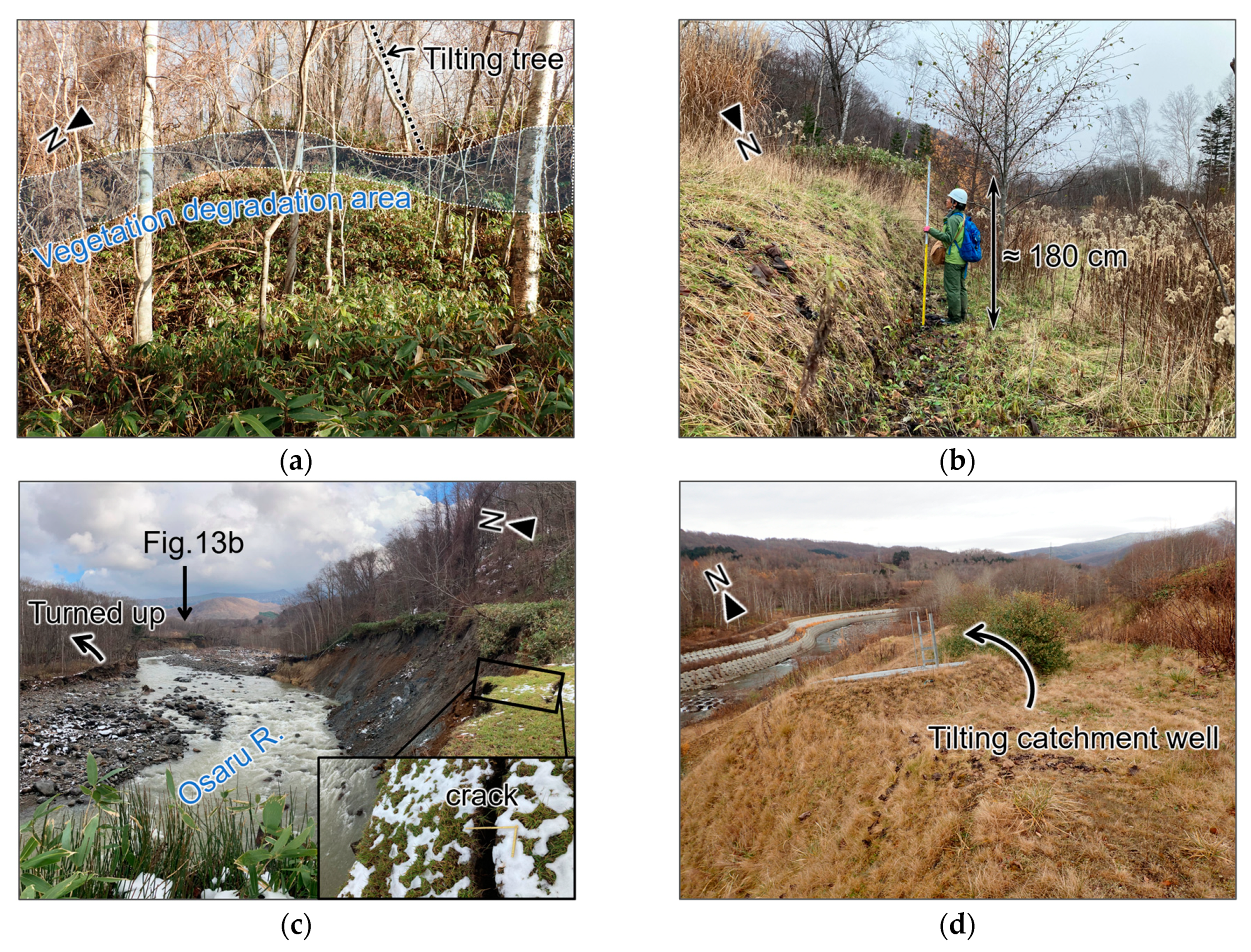 Remotesensing 16 02687 g013a Remotesensing 16 02687 g013a