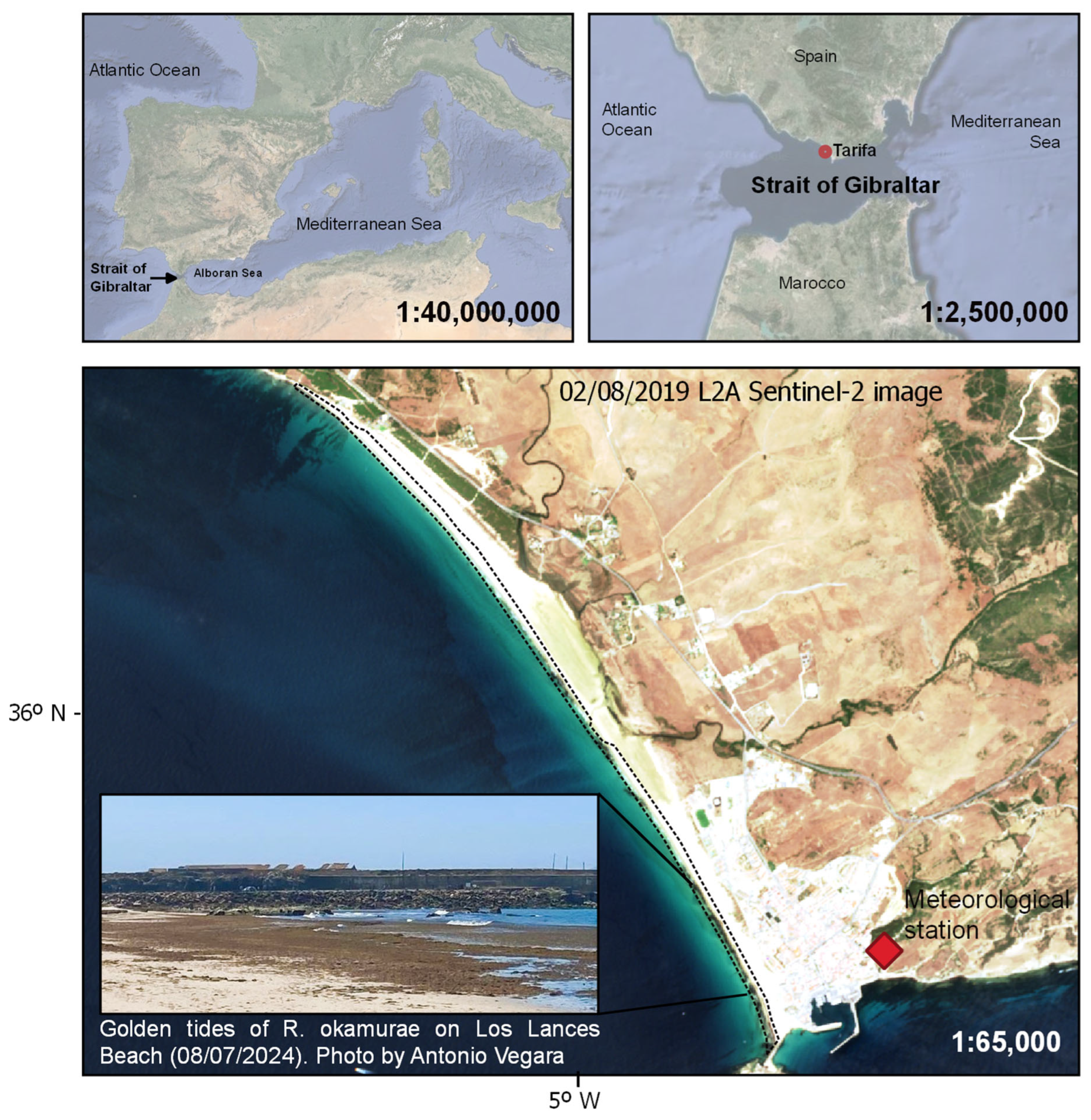 Remotesensing 16 02689 g001