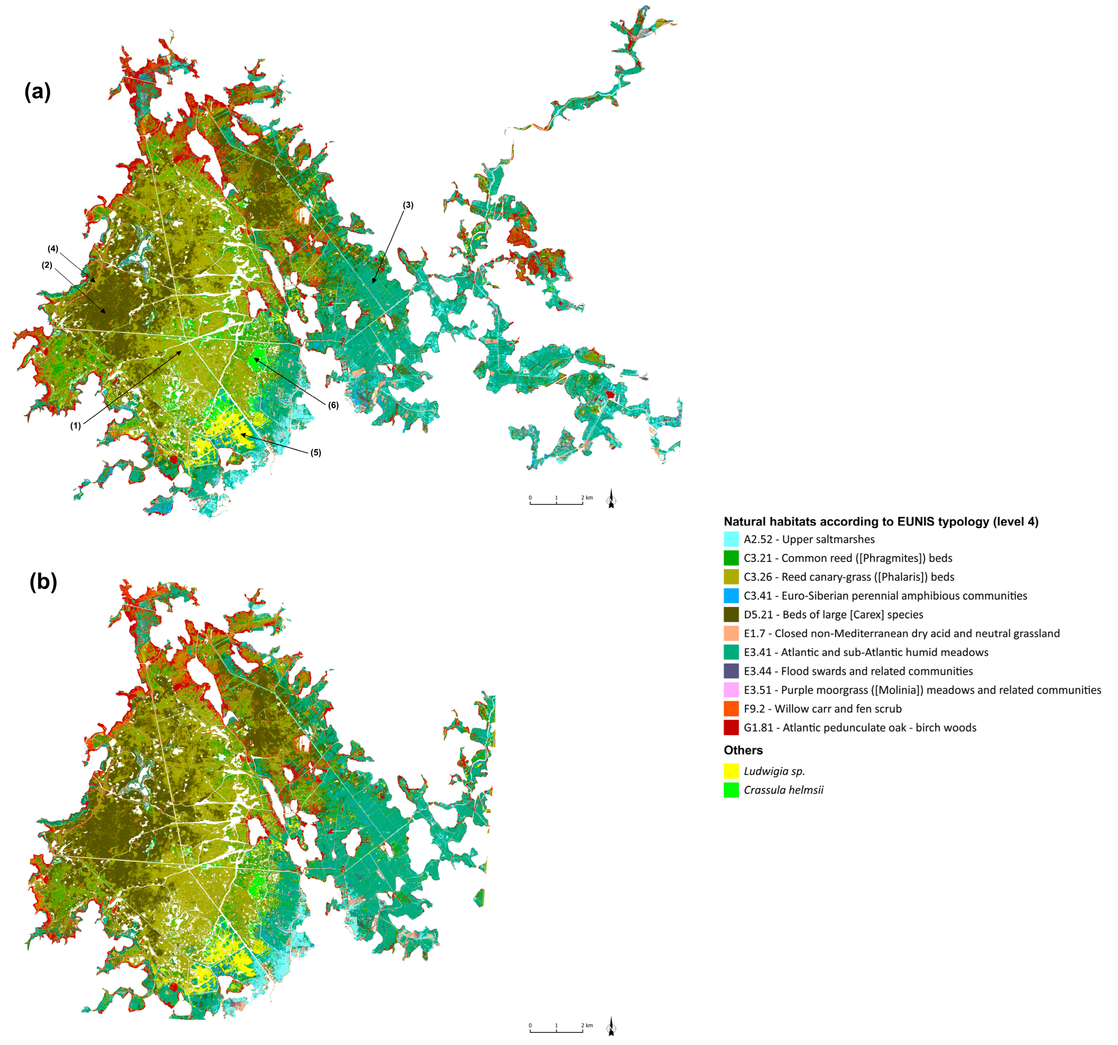 Remotesensing 16 02708 g006