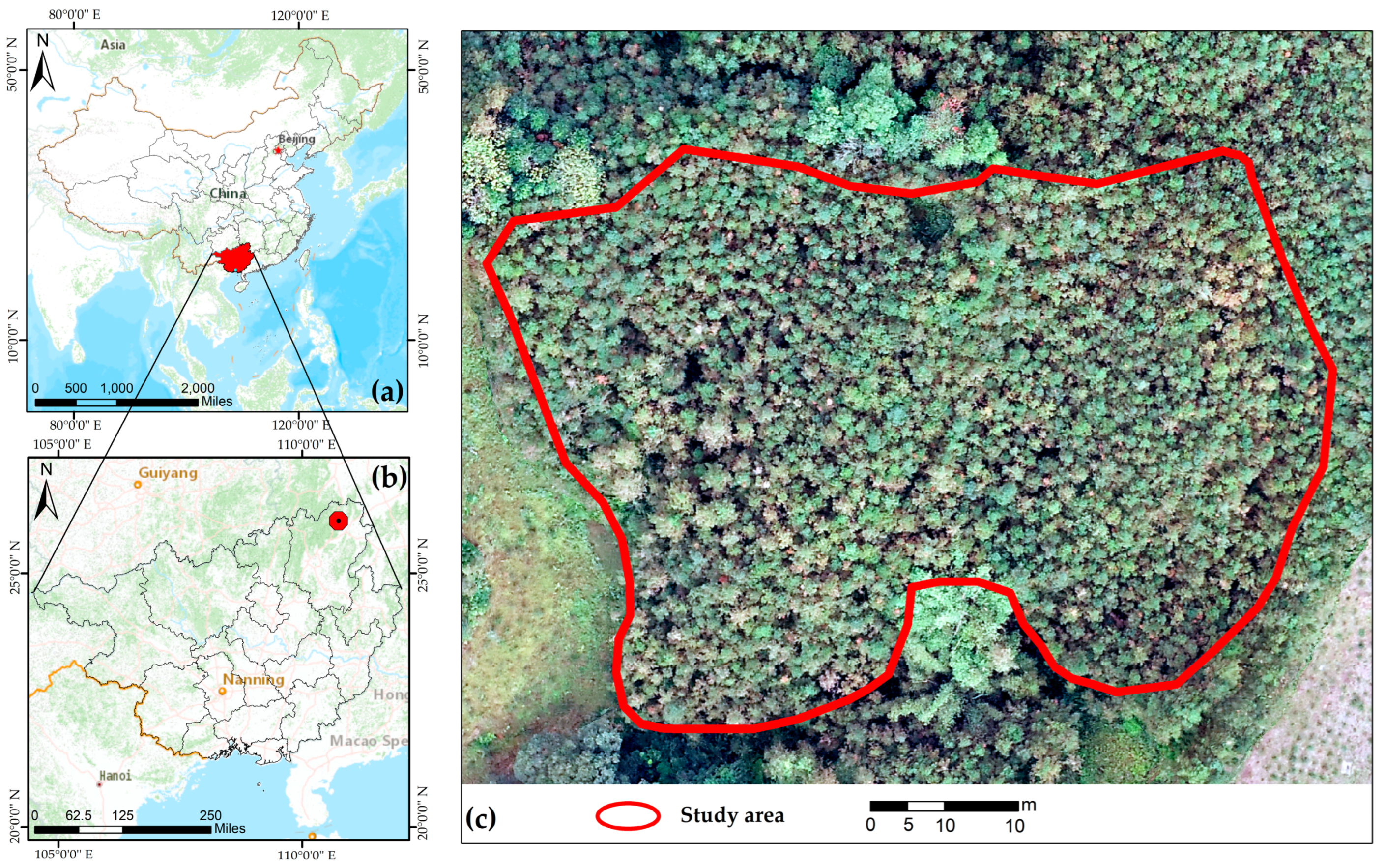 Remotesensing 16 02736 g002