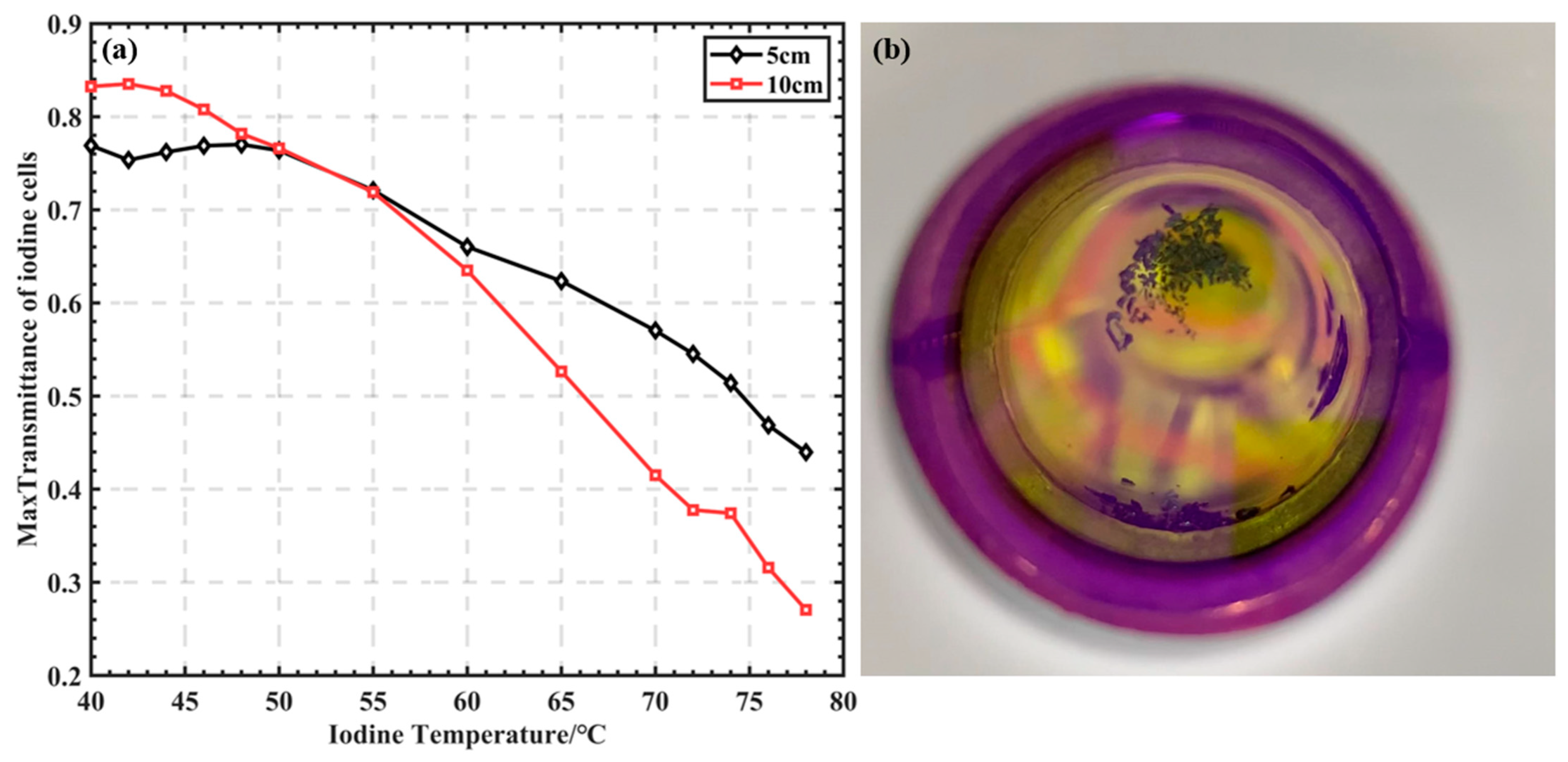 Remotesensing 16 02748 g010