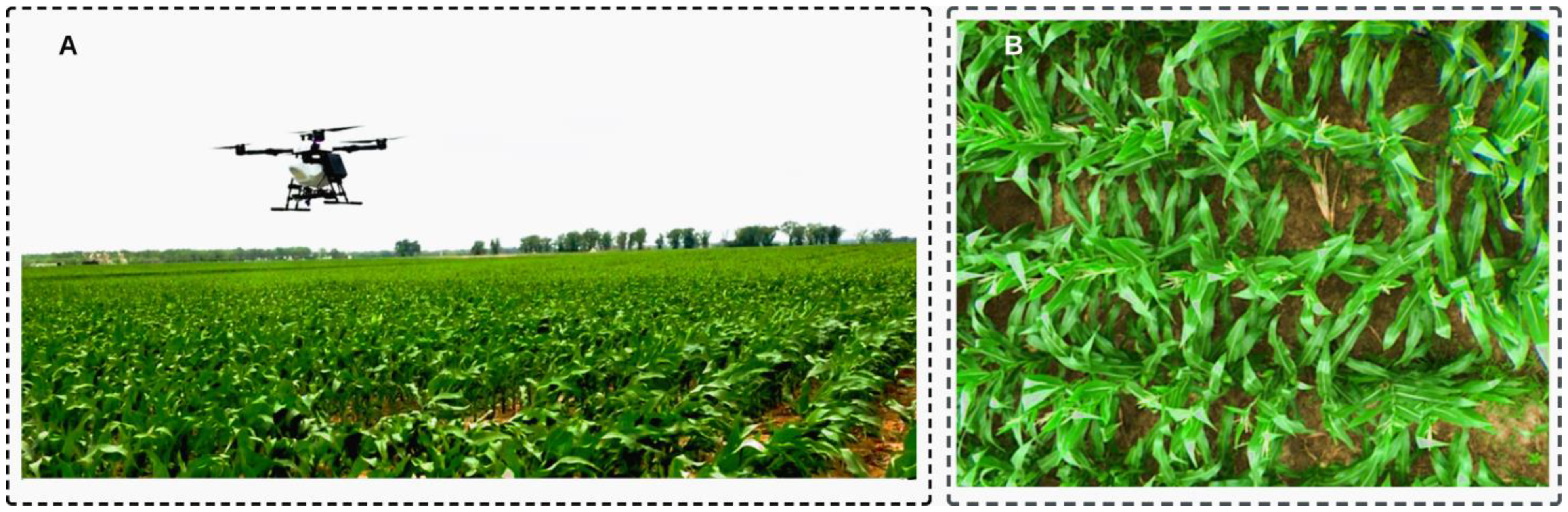 Remotesensing 16 02754 g003